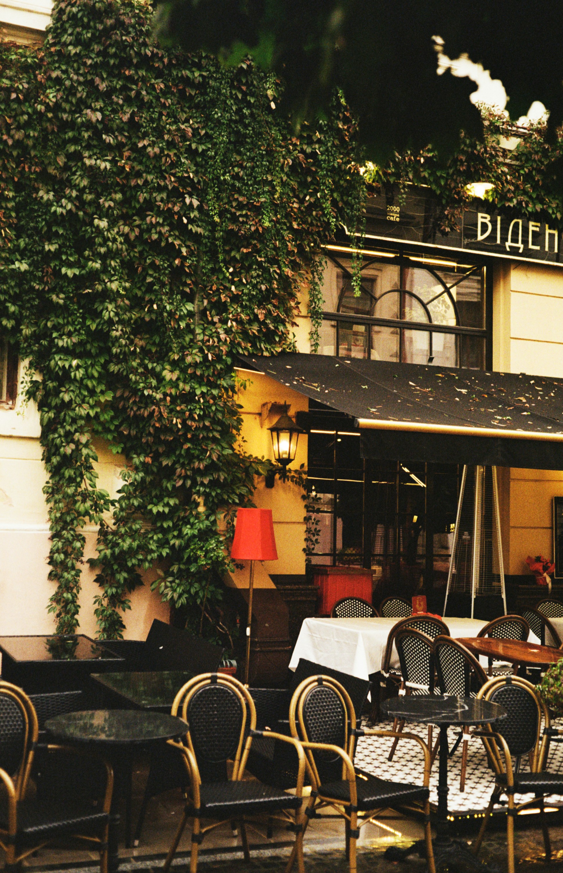 Außen-Café-Sitzgelegenheiten mit efeubedeckter Gebäudefassade.