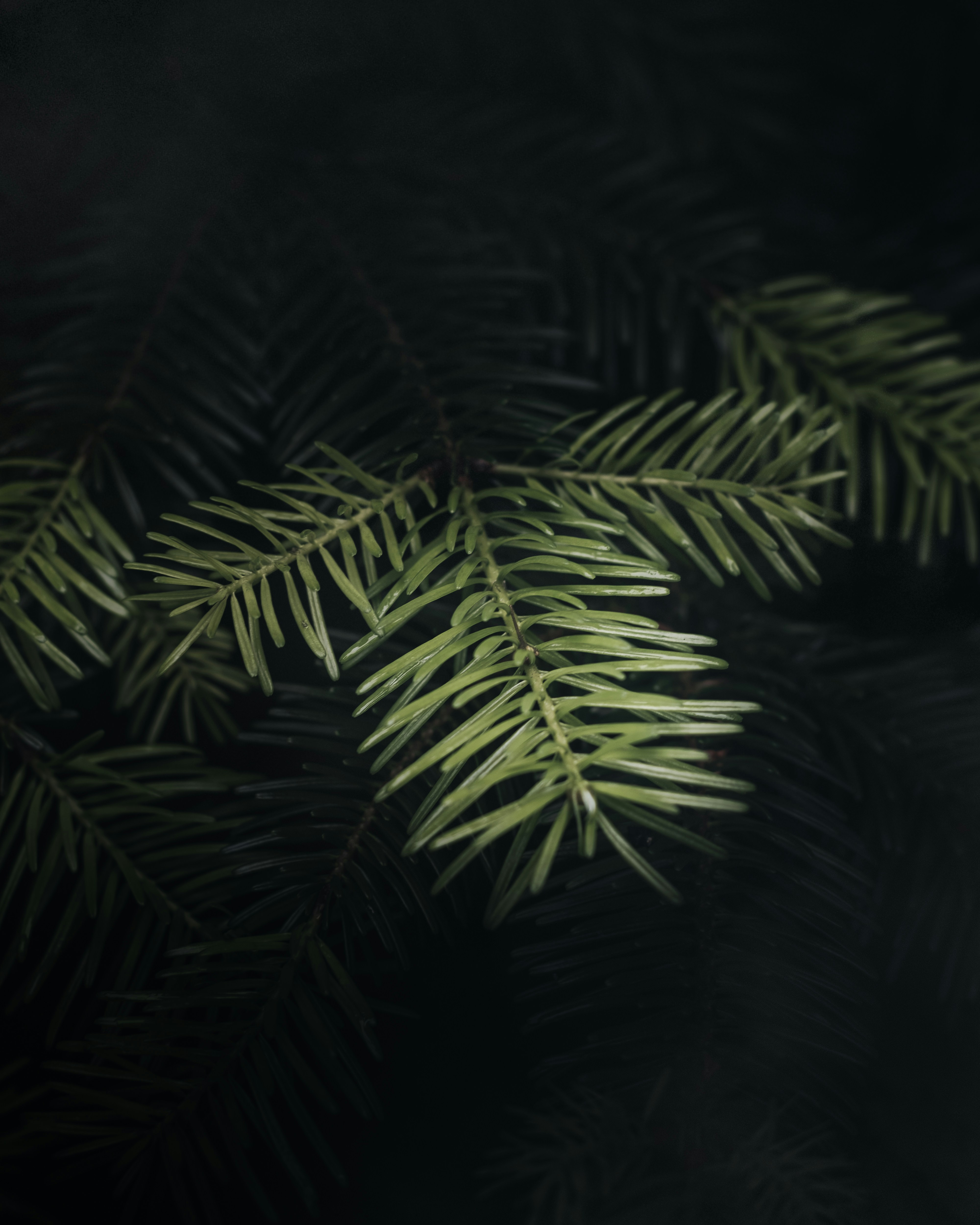 Photo by edgar_infocus