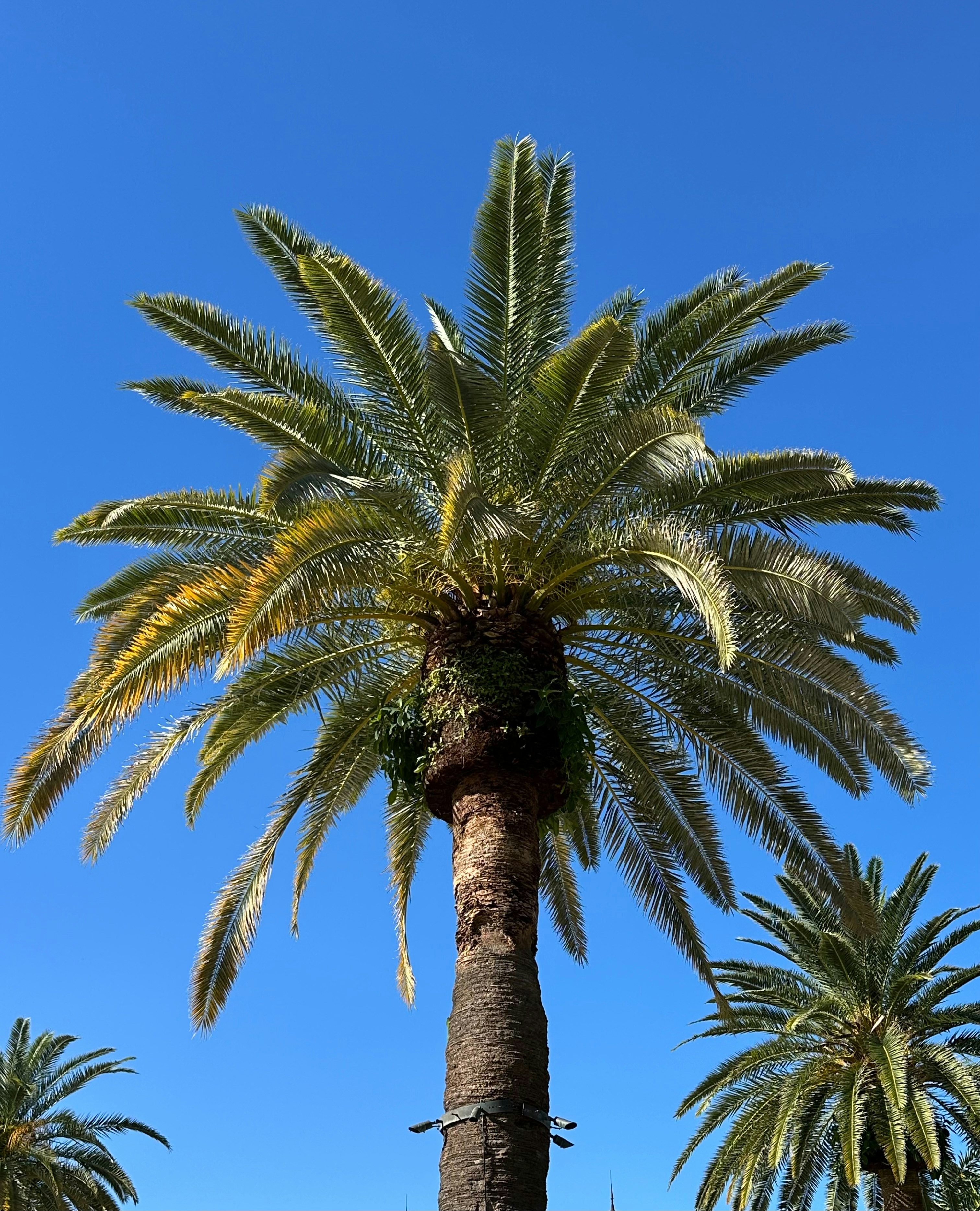 Photo by pricestudios