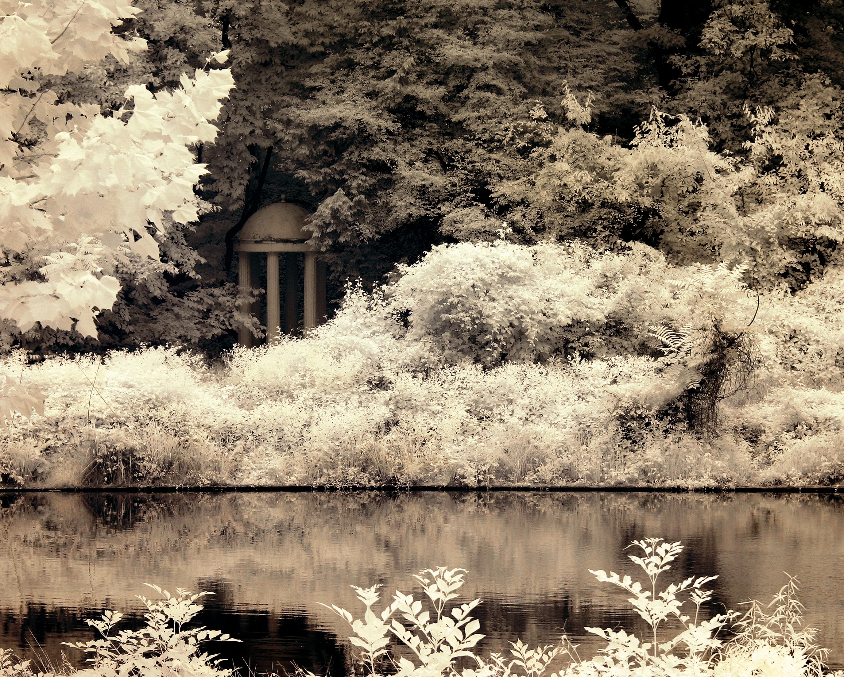 京都・伏見の水辺の写真