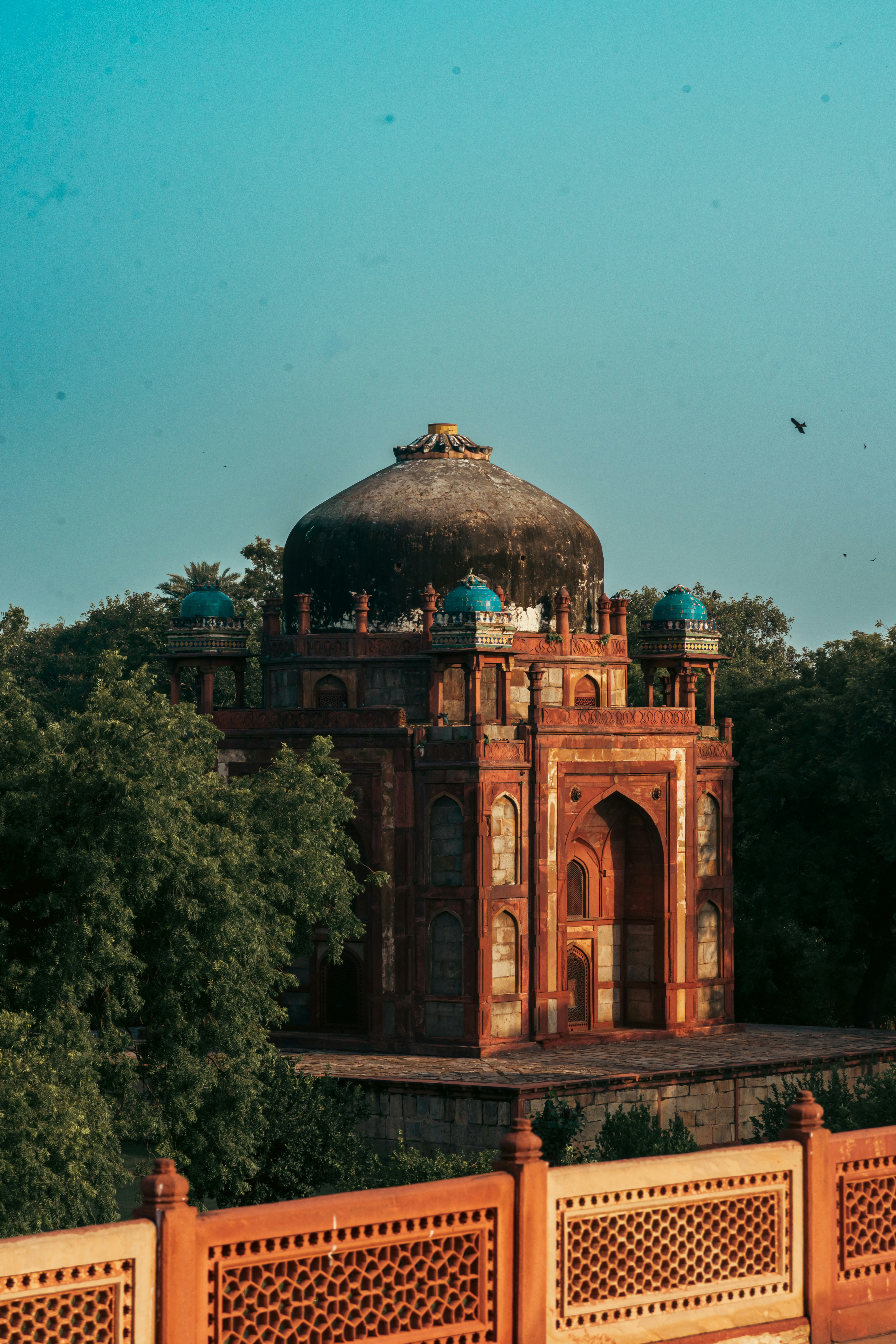 Photo by zoshuacolah