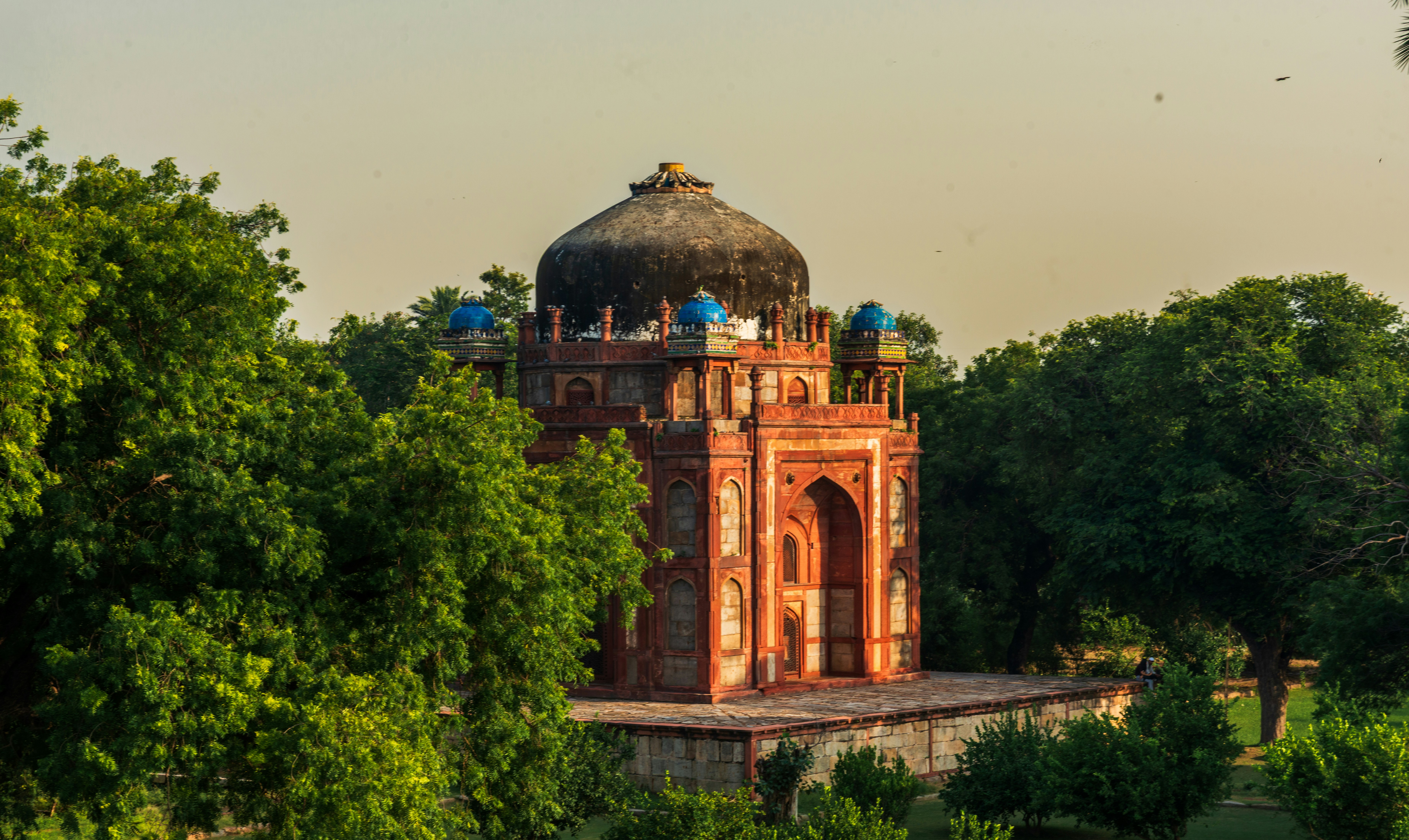 Photo by zoshuacolah