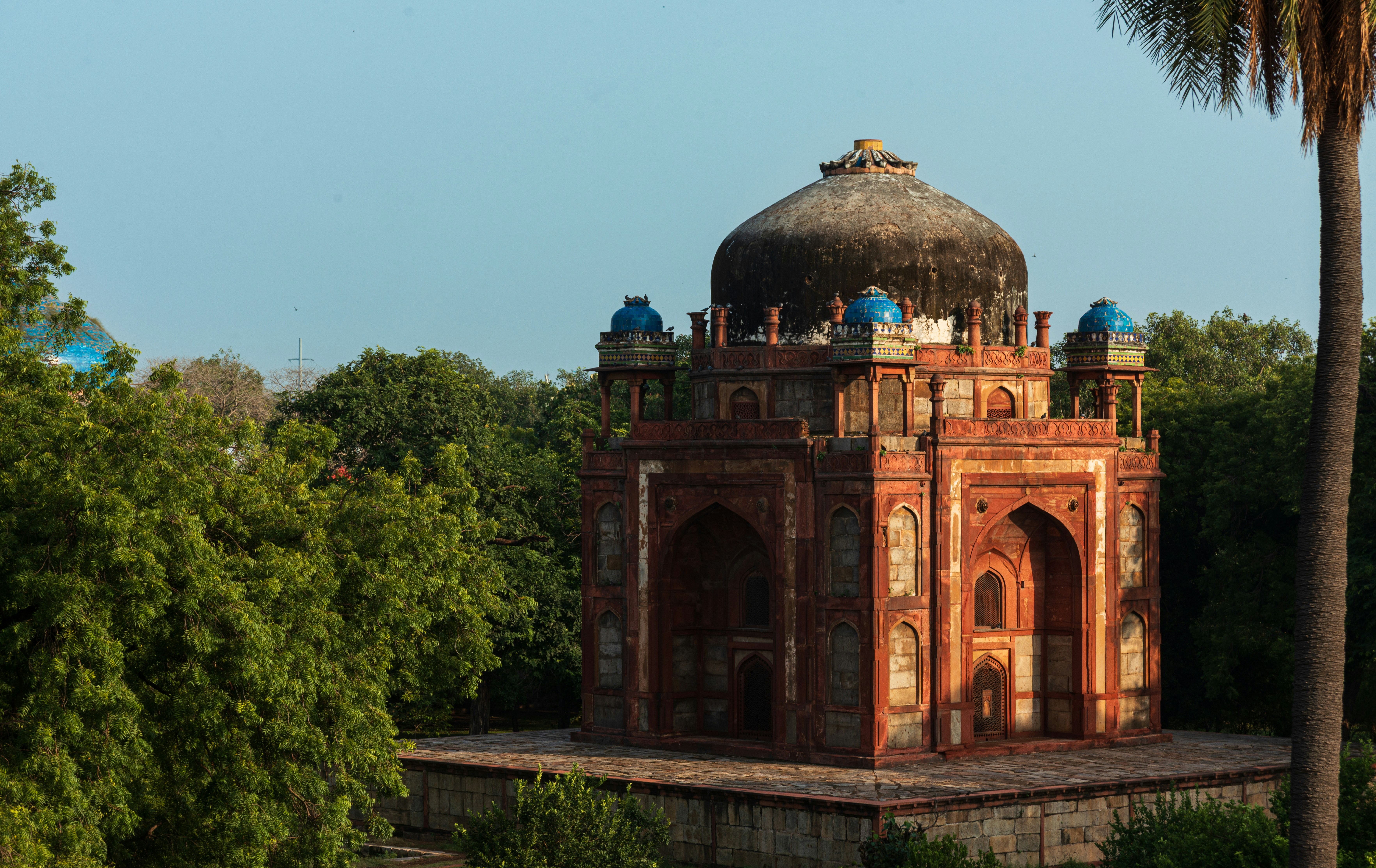 Photo by zoshuacolah