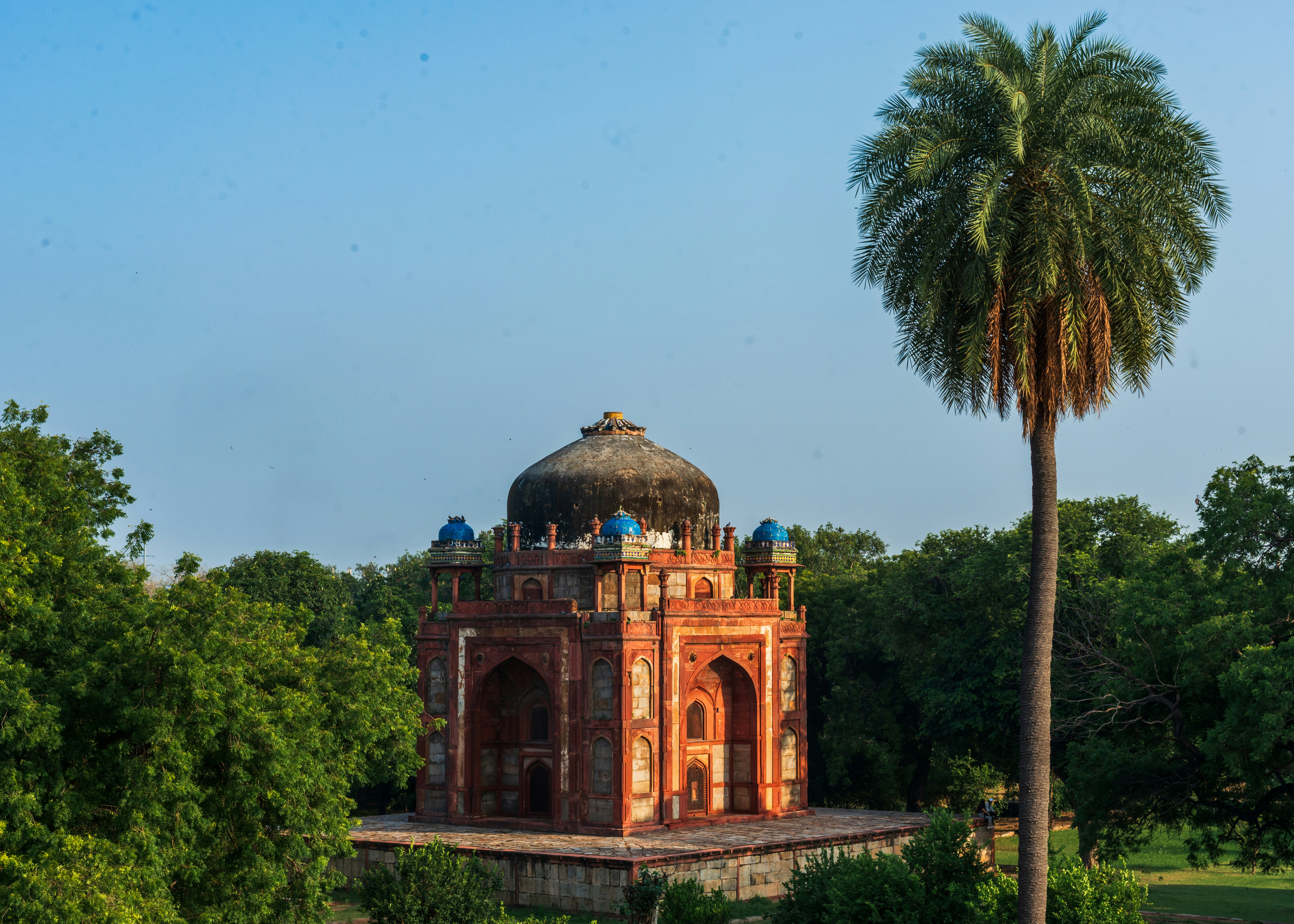 Photo by zoshuacolah