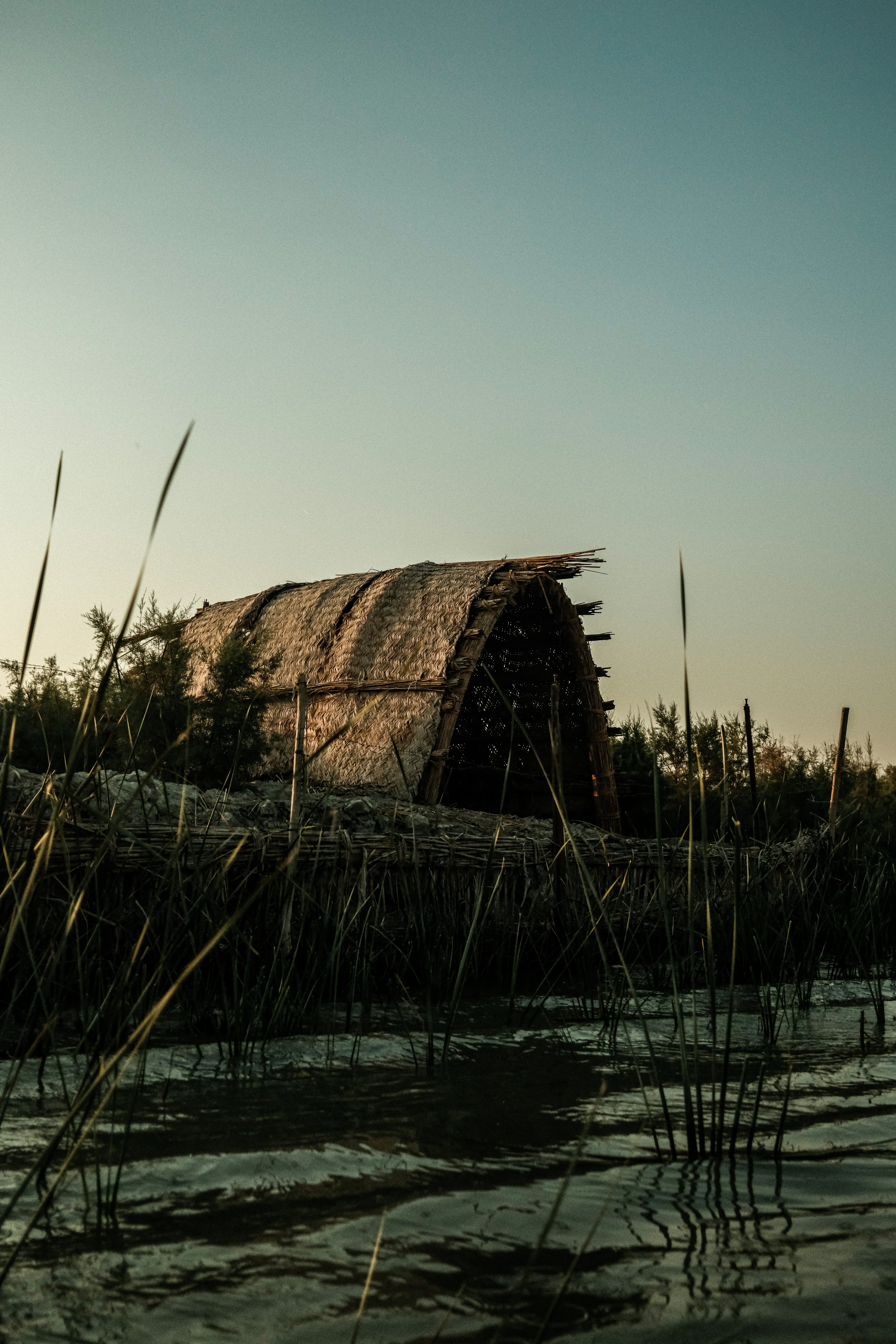 Thatched hut partially submerged in water surrounded by reeds
