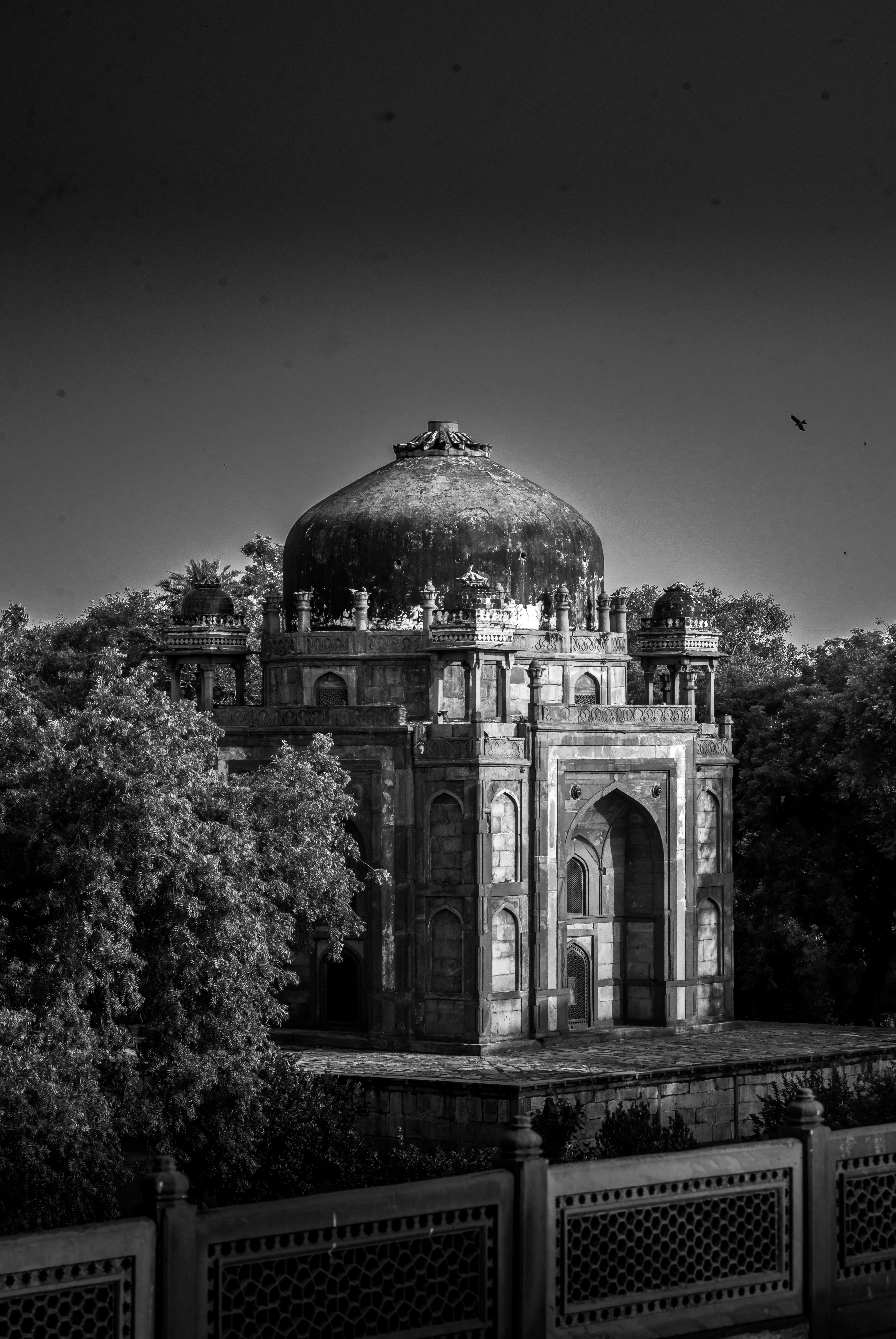 Photo by zoshuacolah