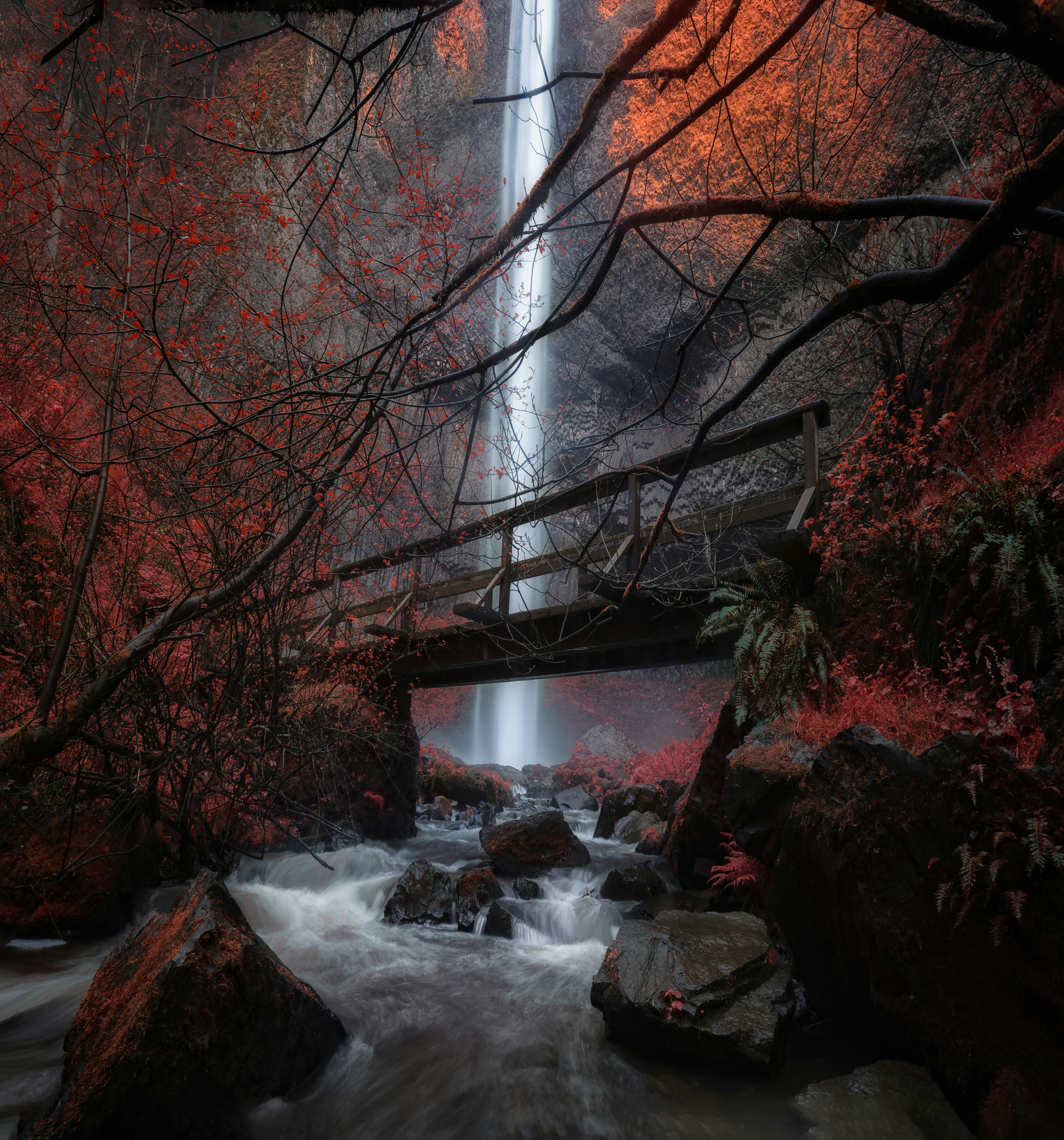 Waterfall atraviesa un bosque con follaje otoñal.