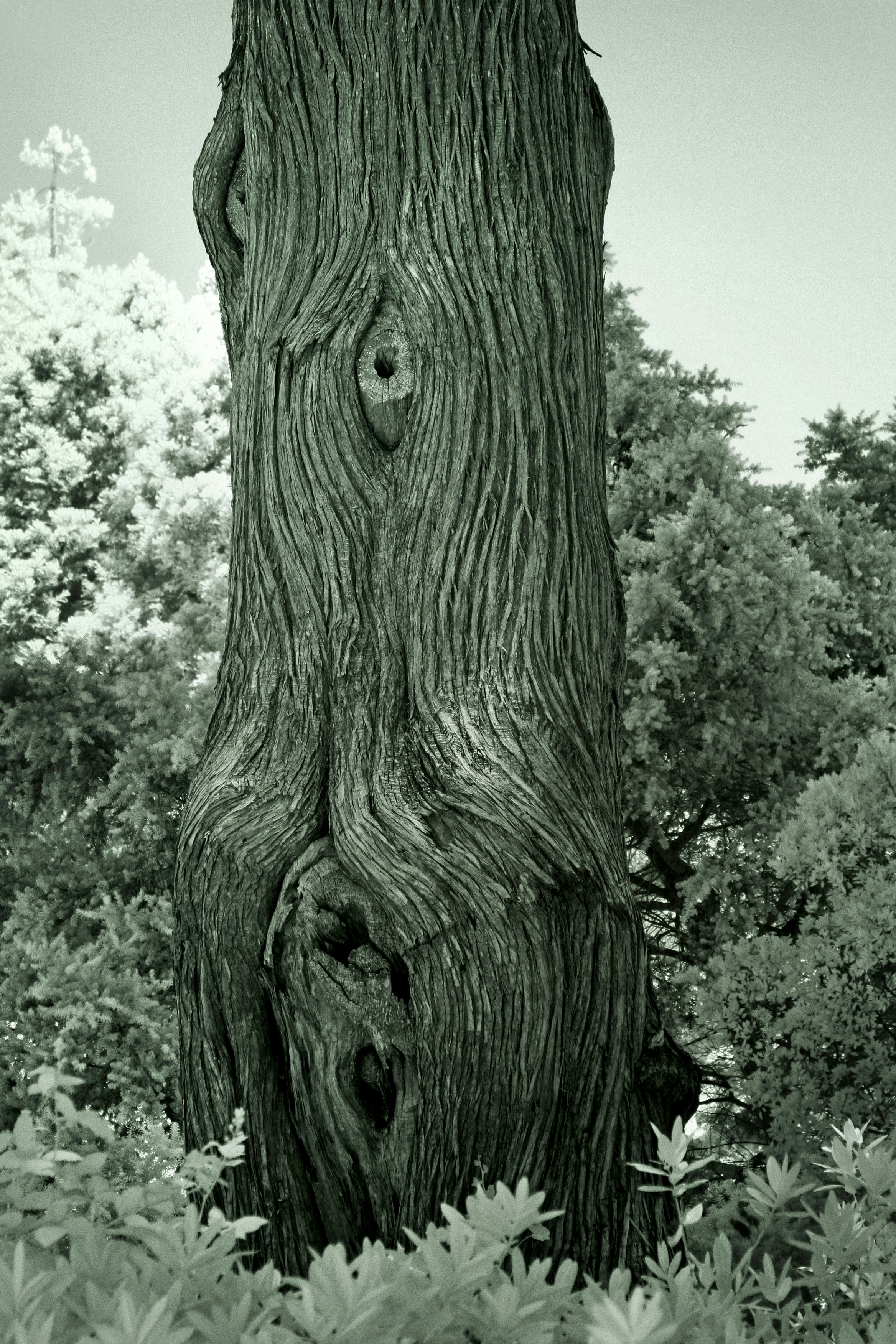 Photo by john_cardamone