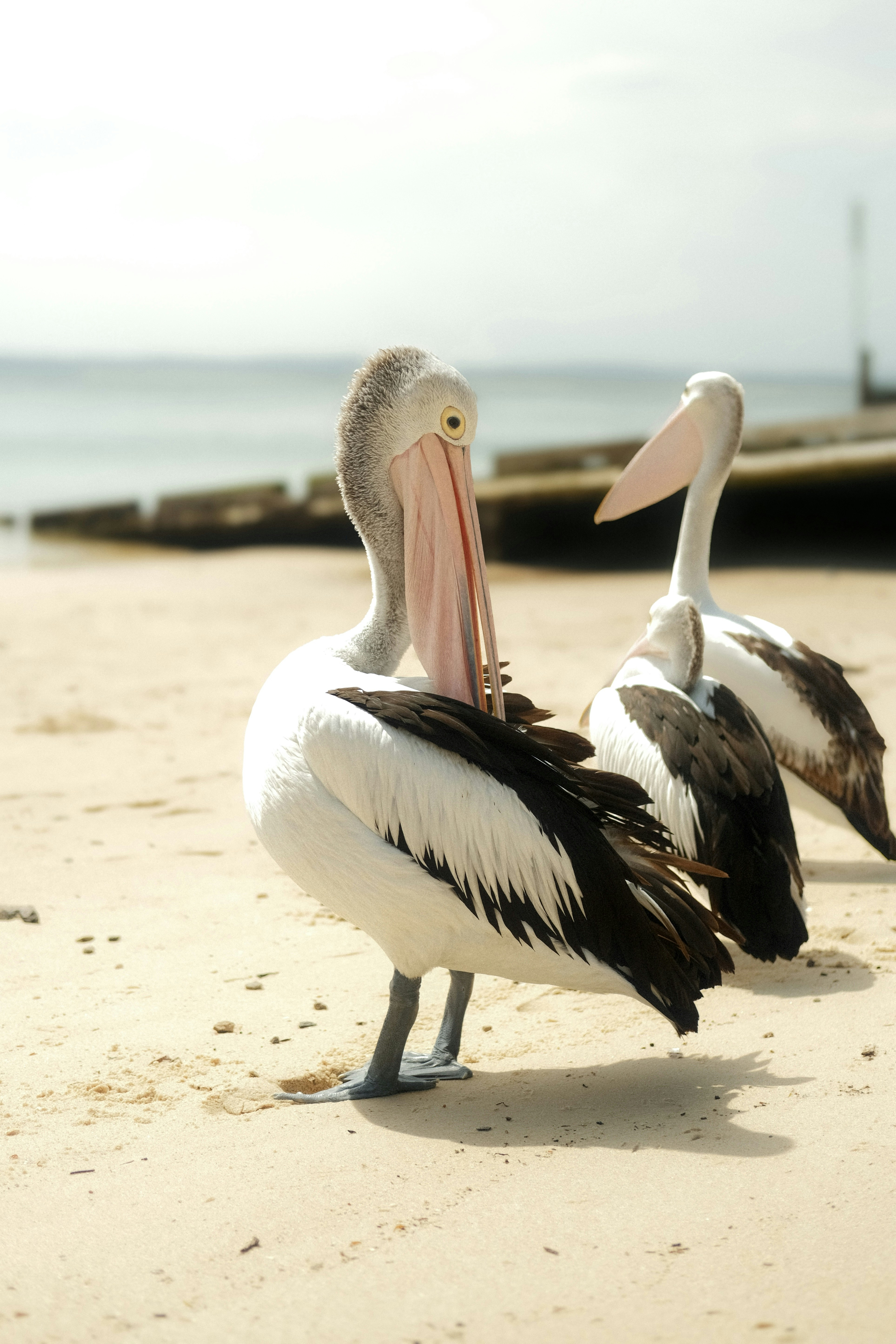 Photo by givemetheoil