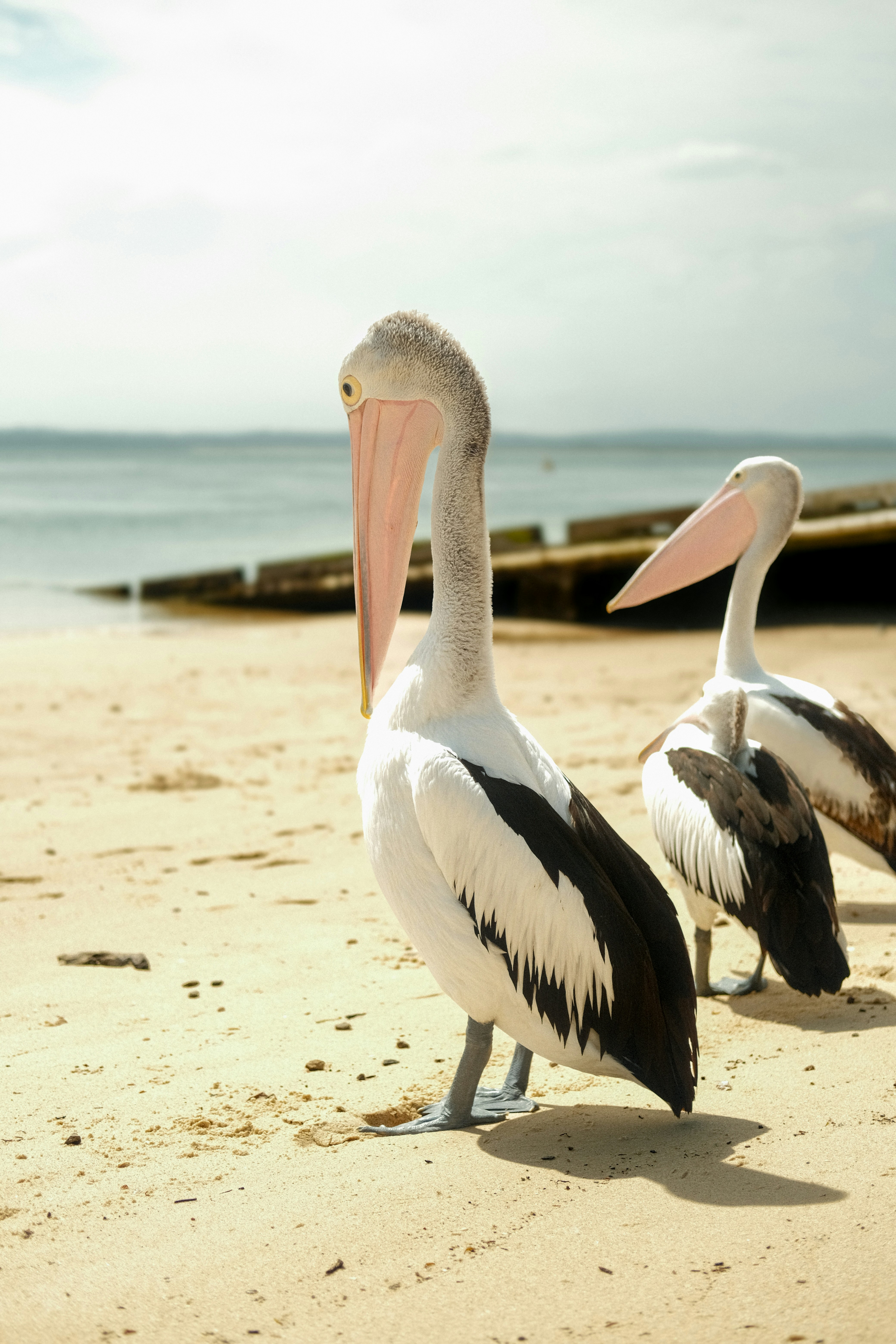 Photo by givemetheoil