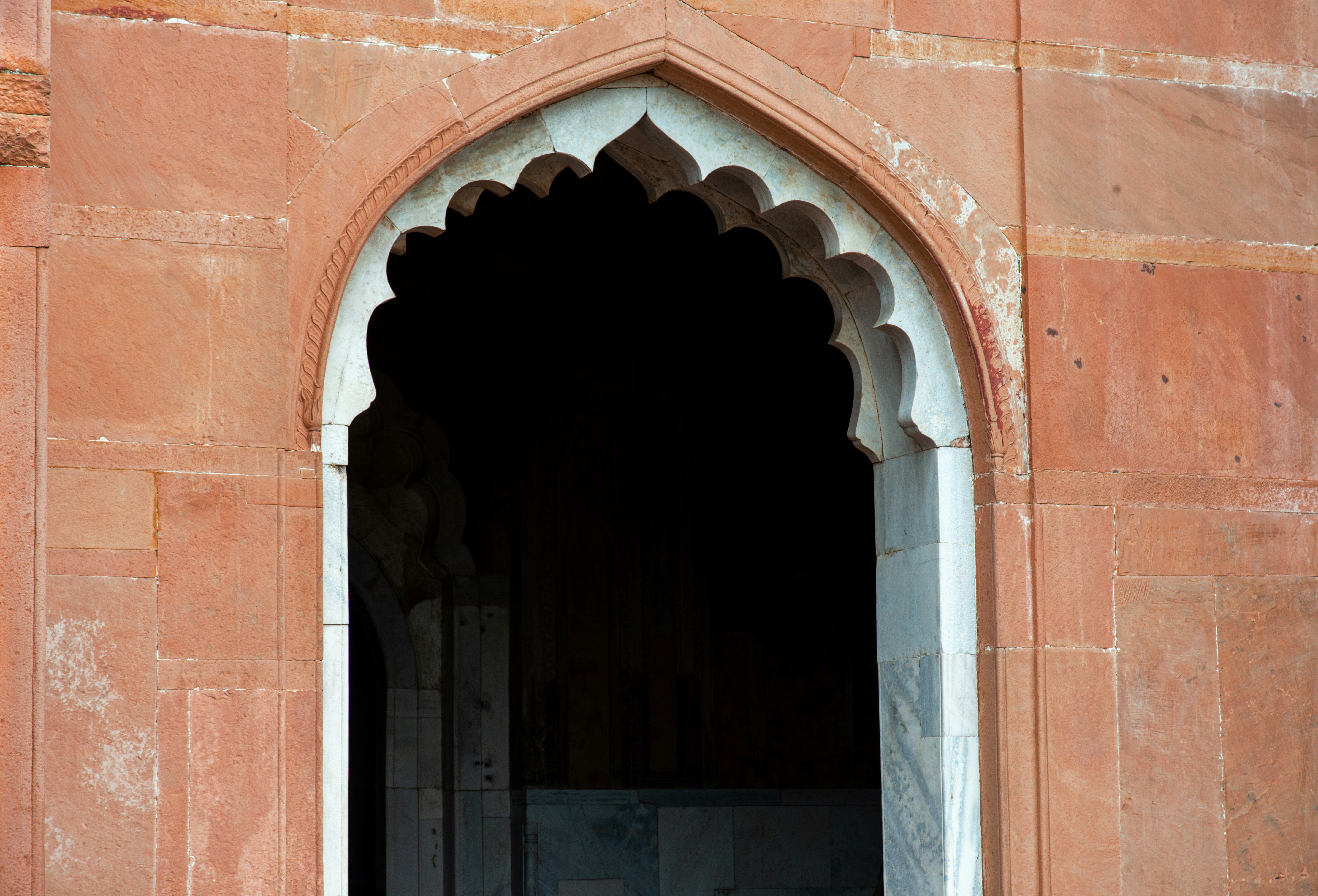 Photo by zoshuacolah