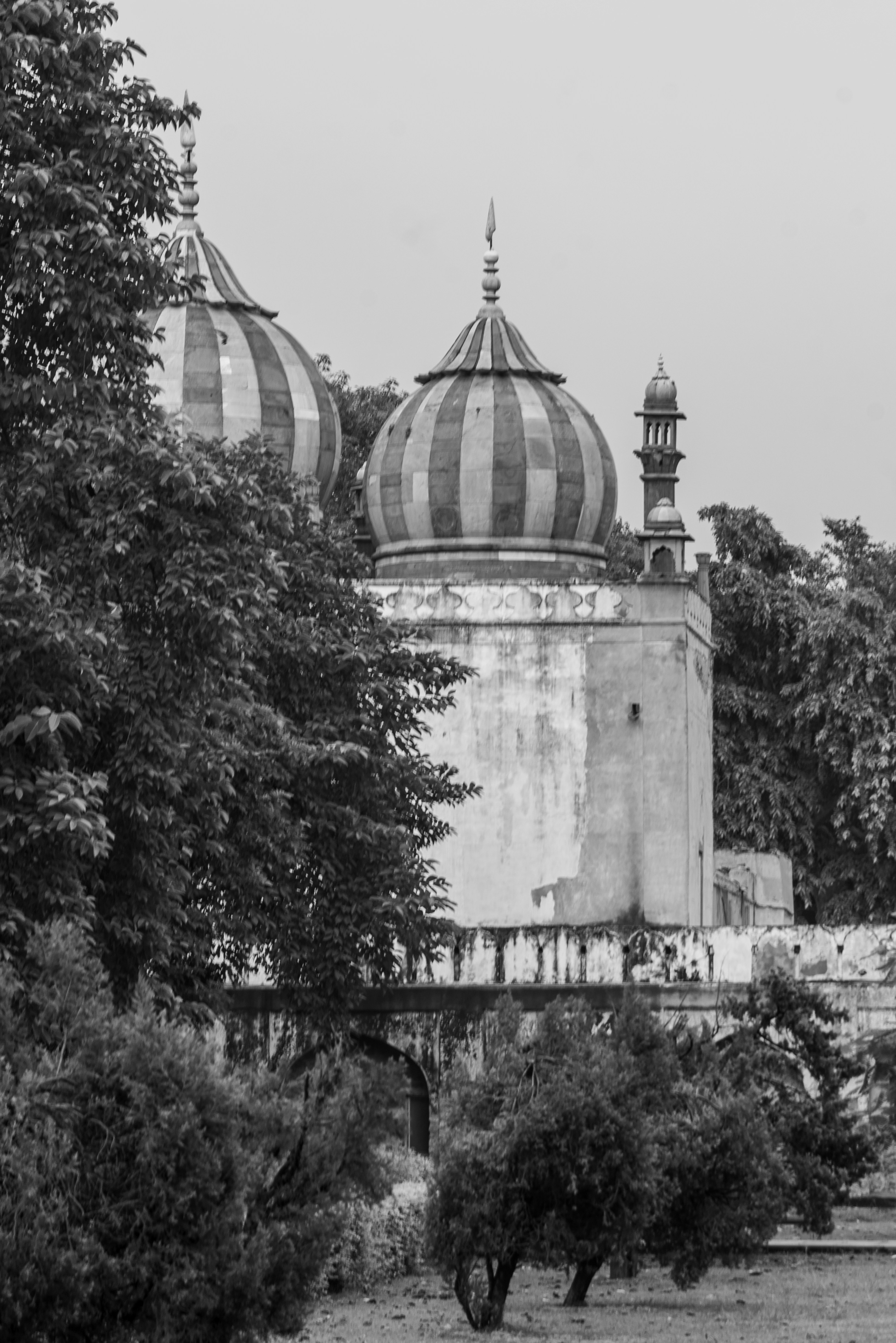 Photo by zoshuacolah