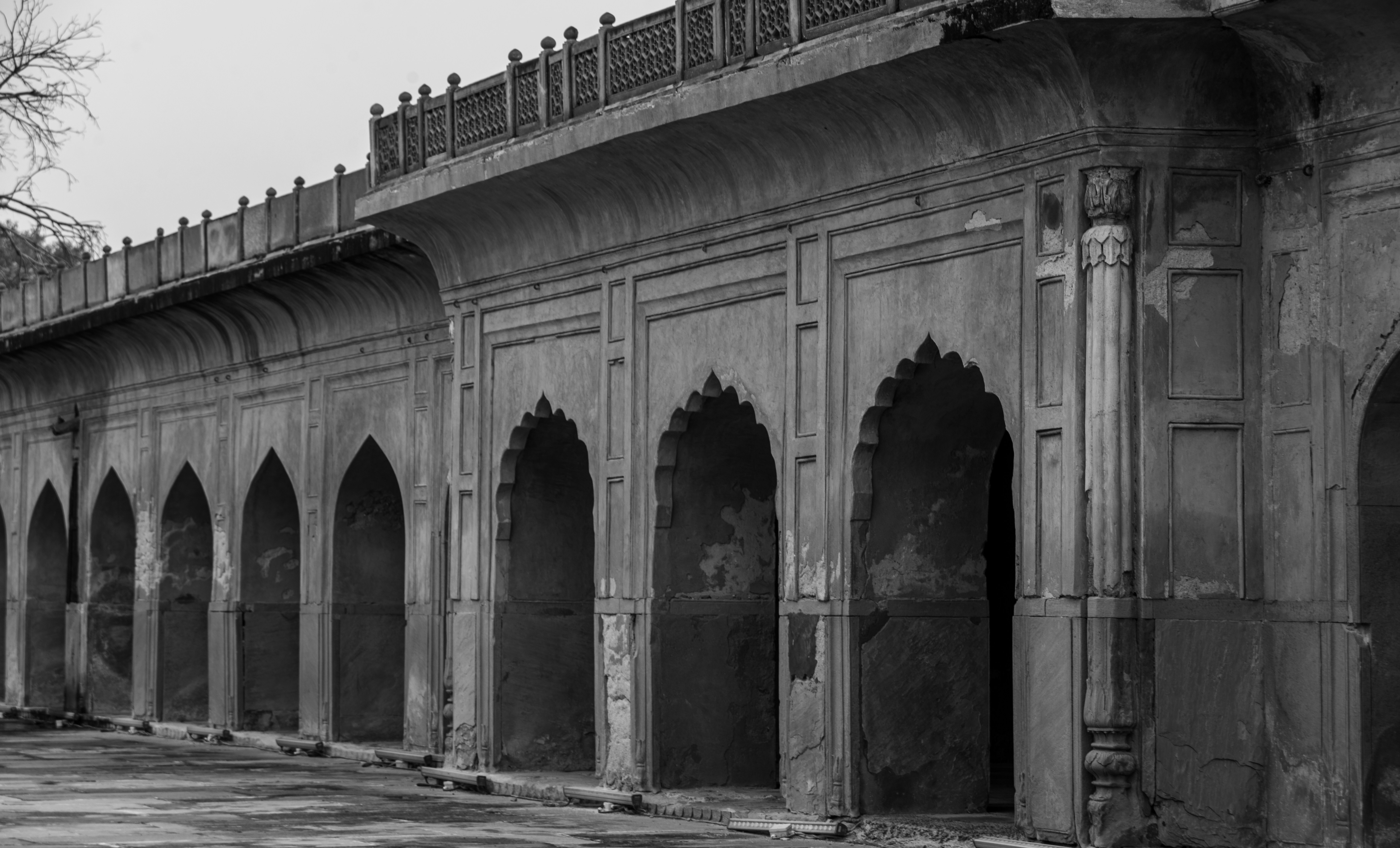 Photo by zoshuacolah