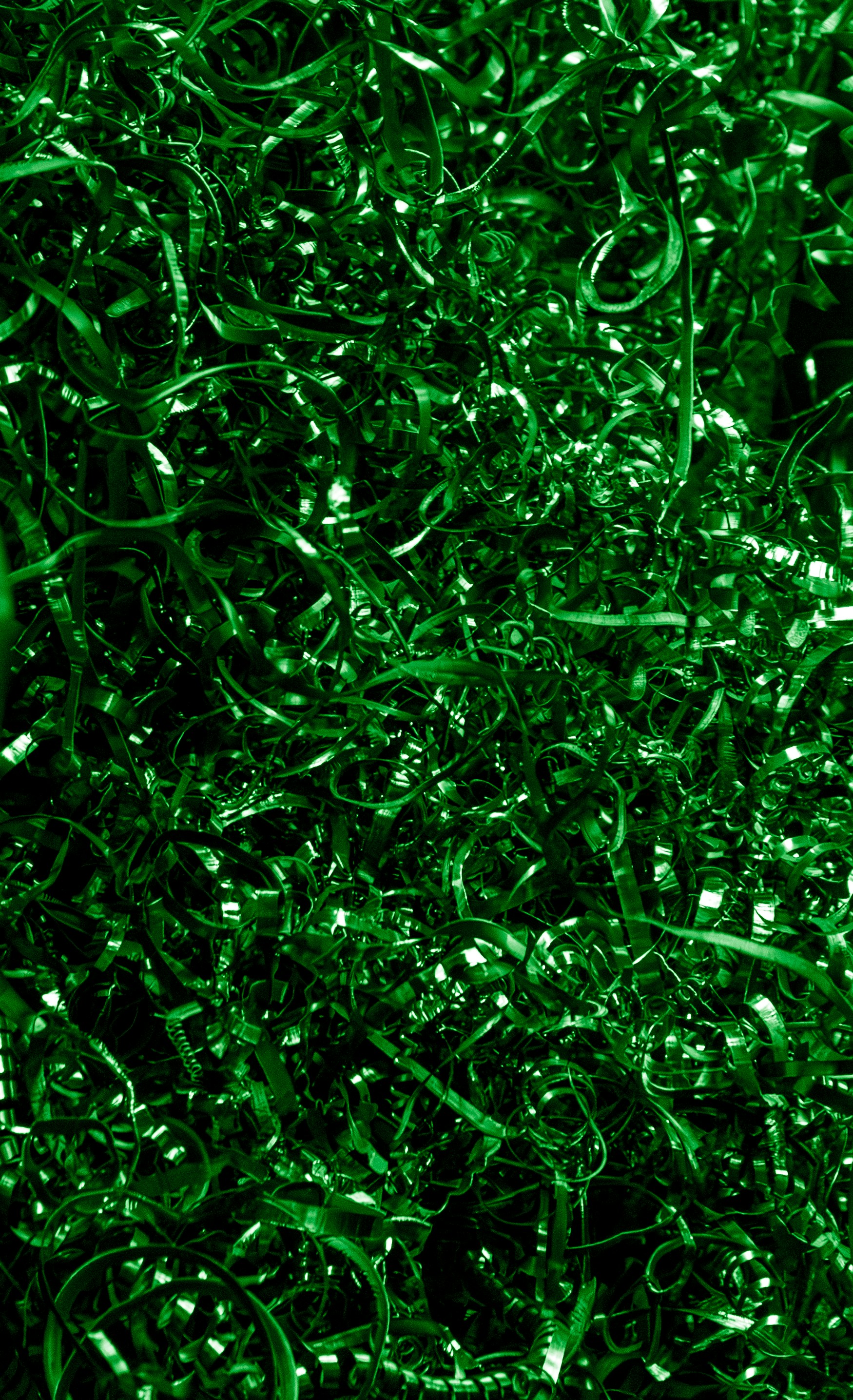 Photo by zoshuacolah