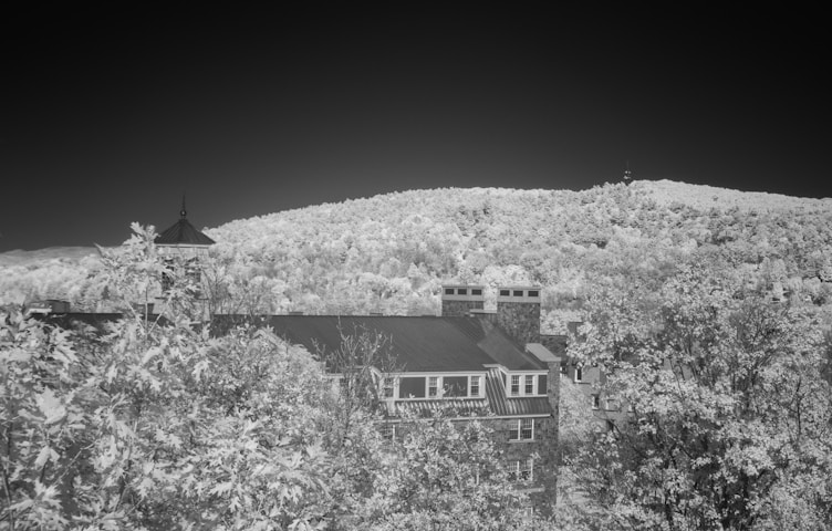 The New School
