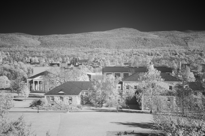 The New School