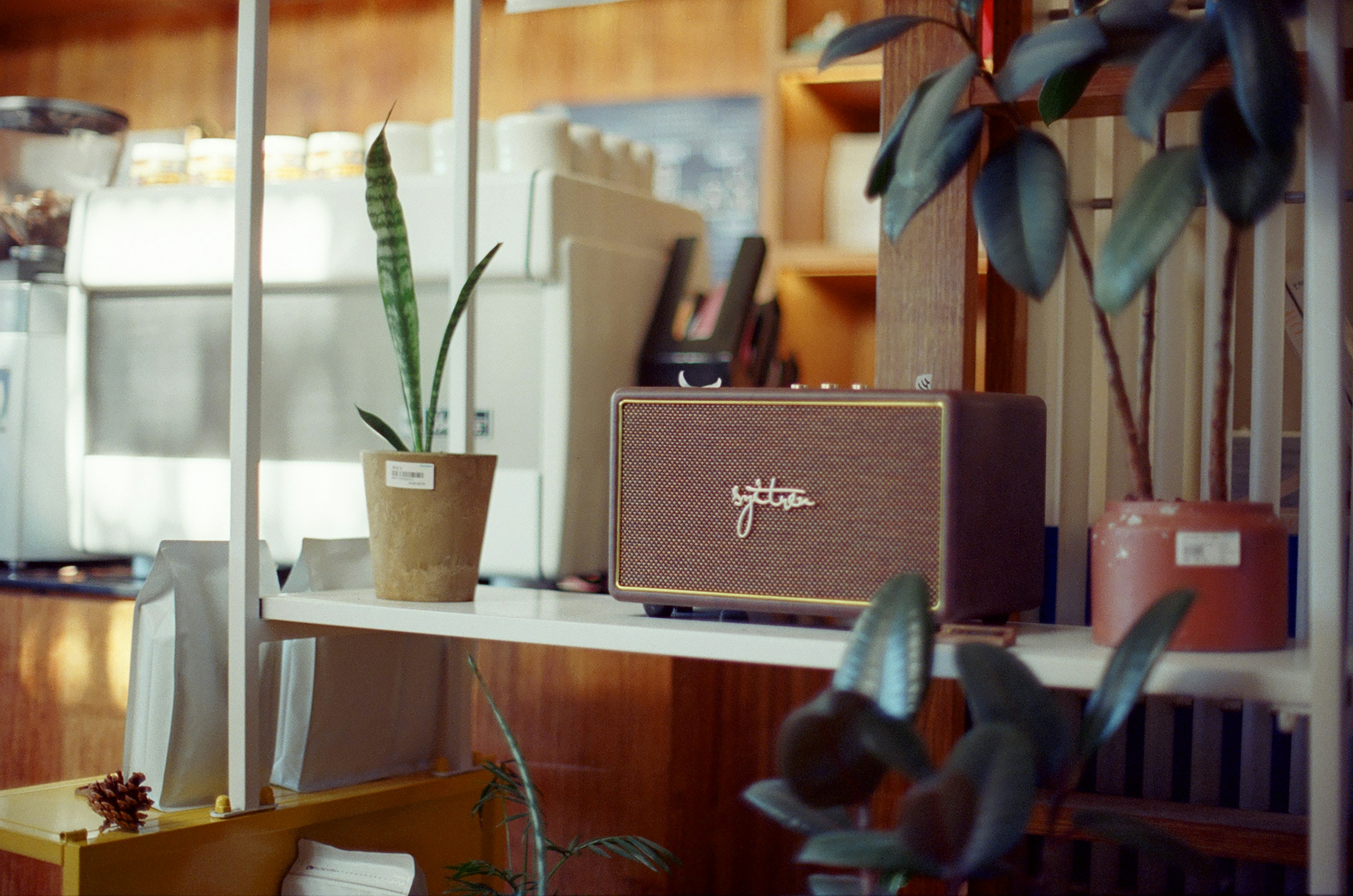 Nueva Música / CuratedMX