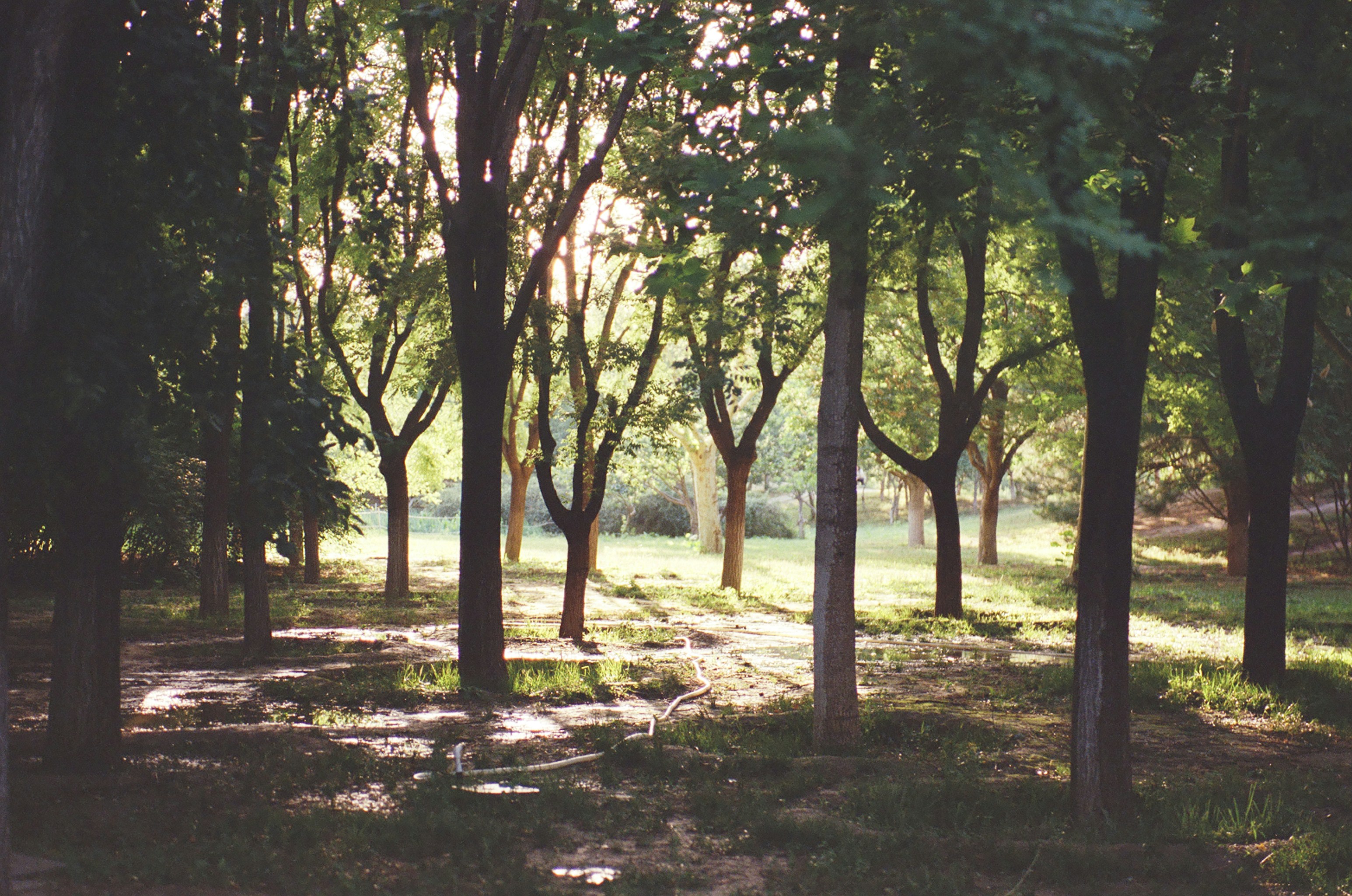 Photo by austin_7792