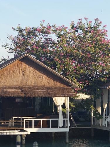 Royal West Indies Resort resort