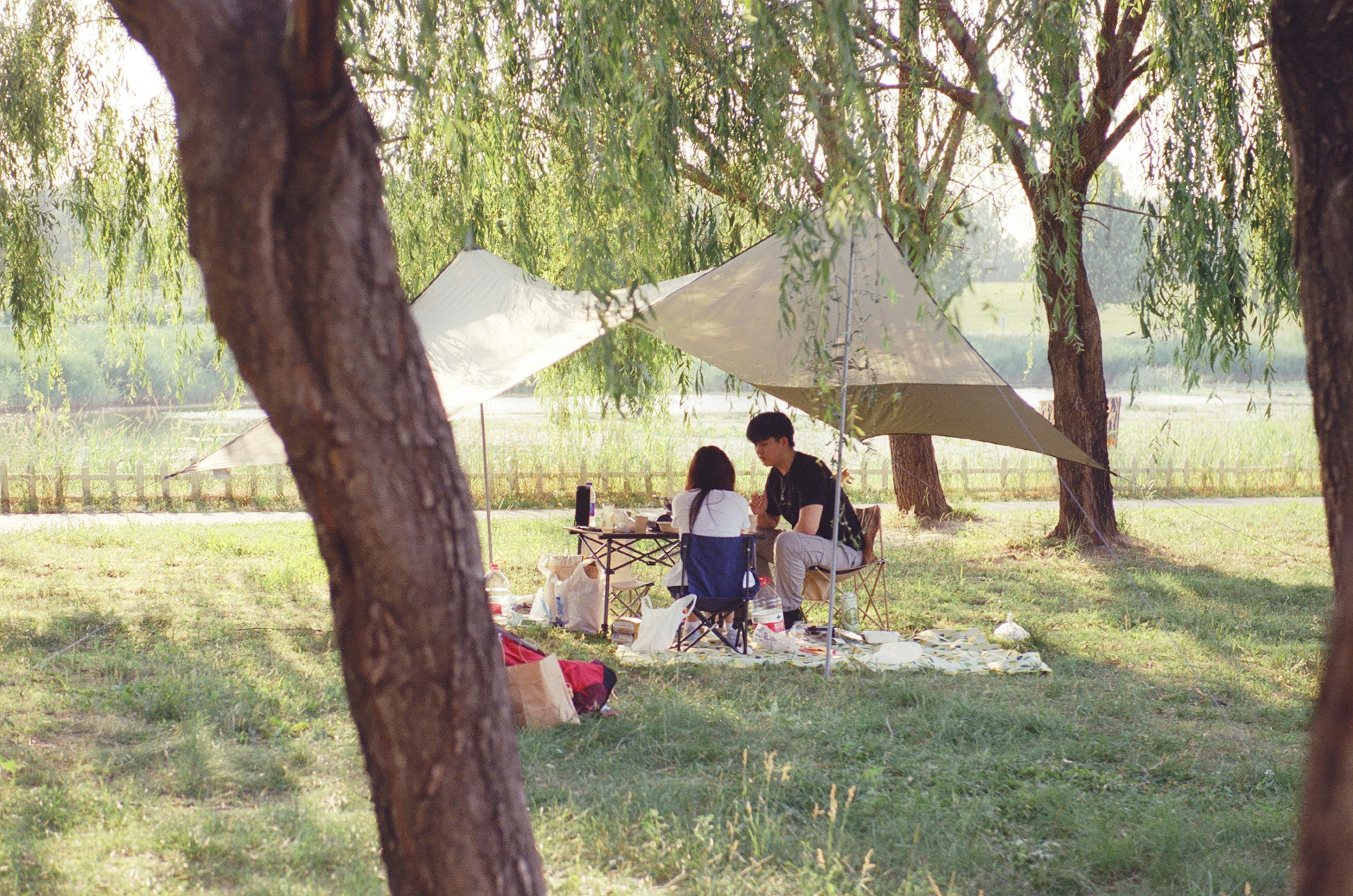 ¿Por qué te sientes cansado después de comer? (Cómo la alimentación consciente puede ayudarte)