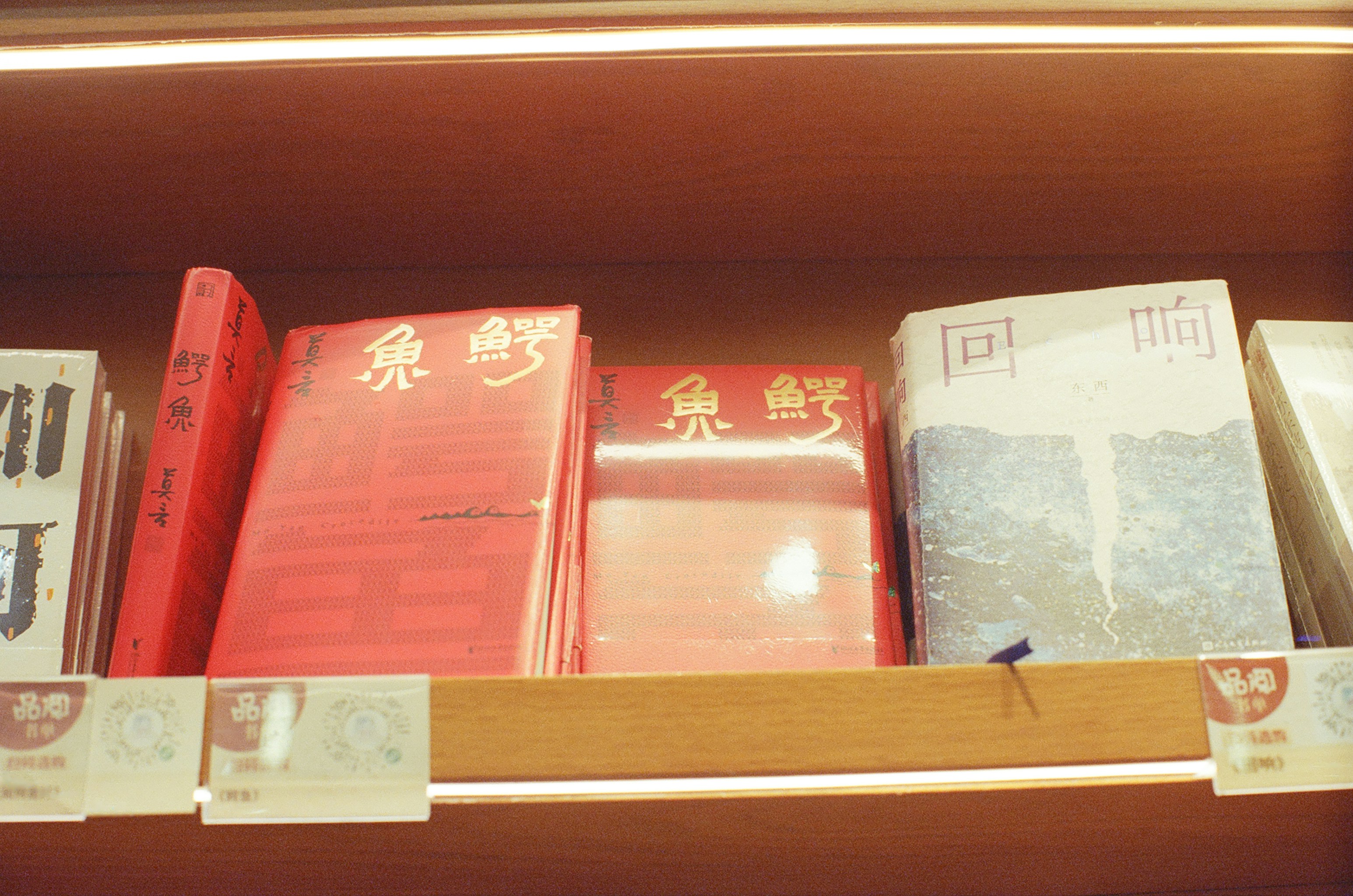 Several books on a wooden shelf