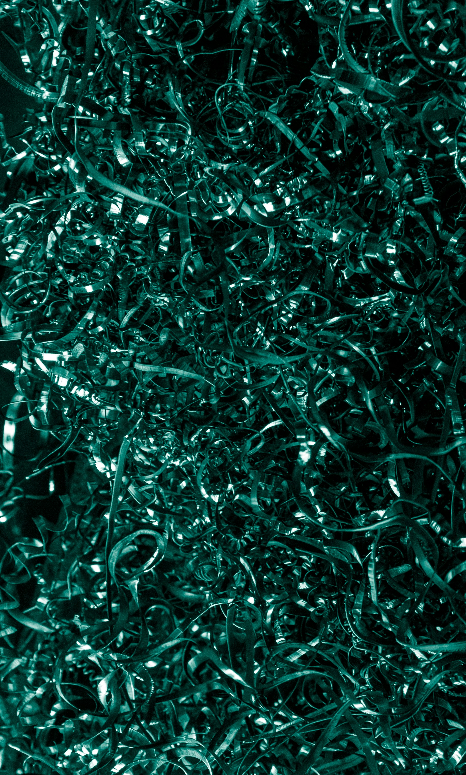 Photo by zoshuacolah