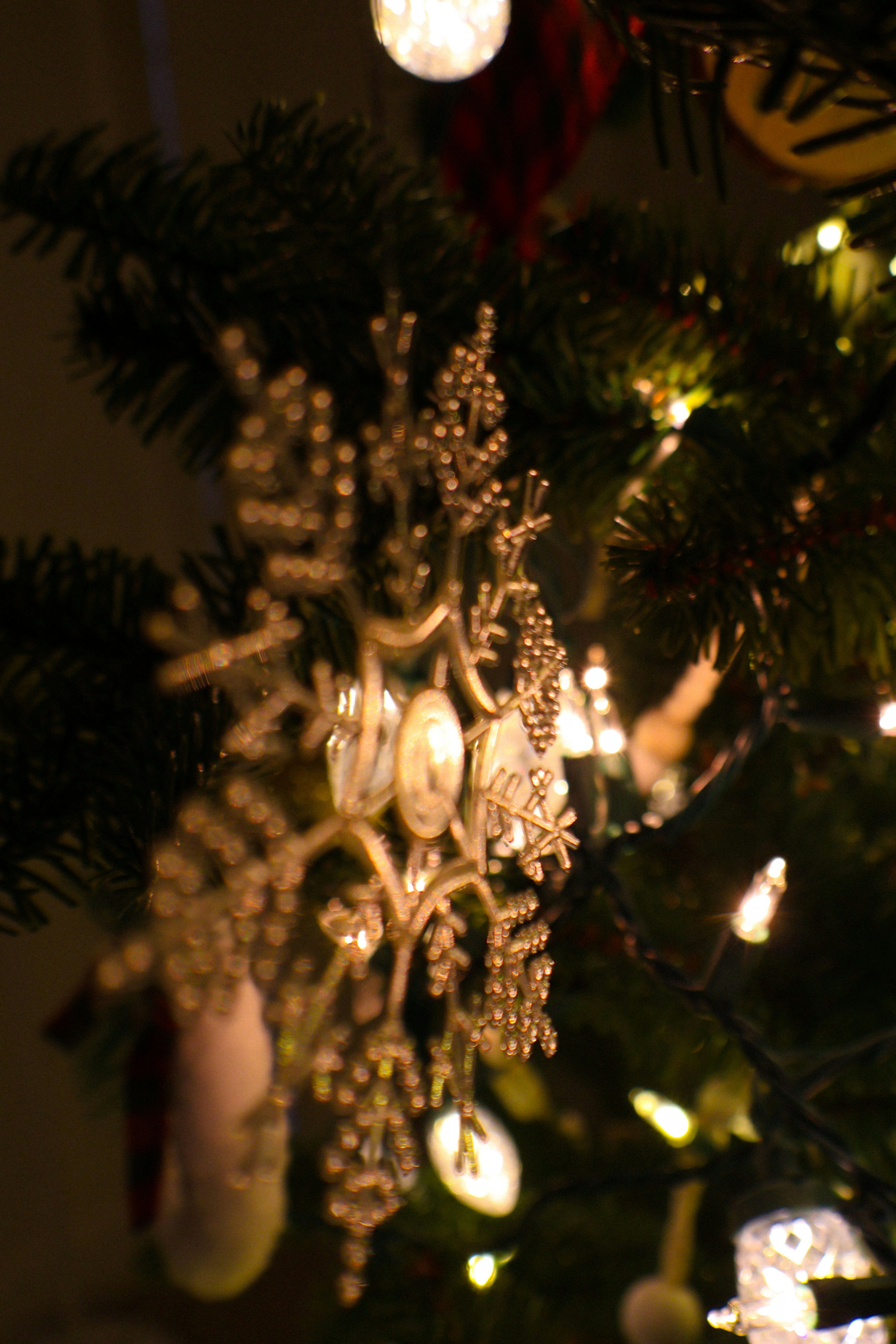 Photo by marcusdavid