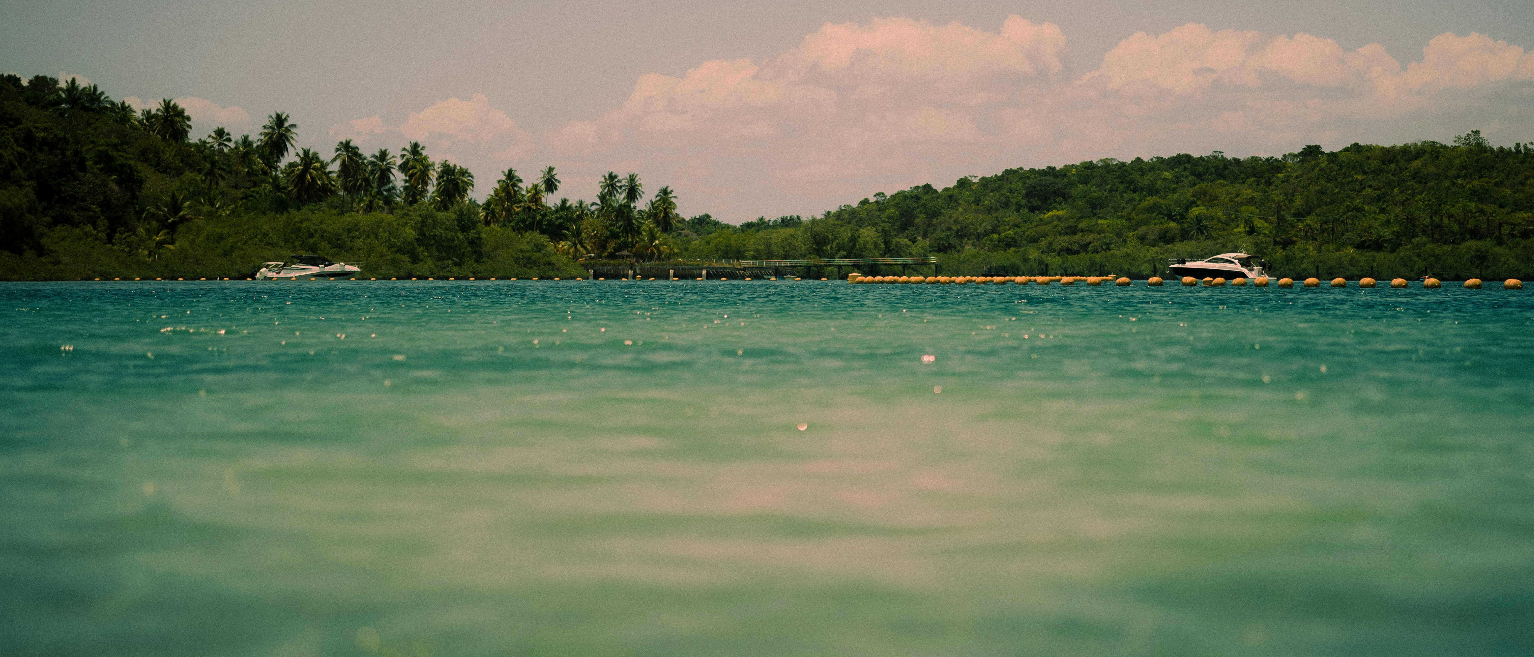 Photo by aleff_jpg