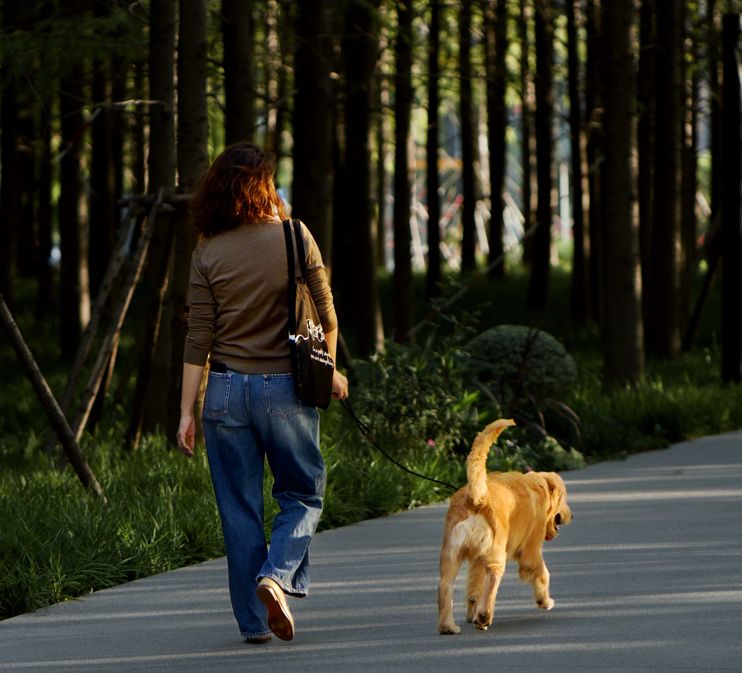 Woman walking a dog through trees