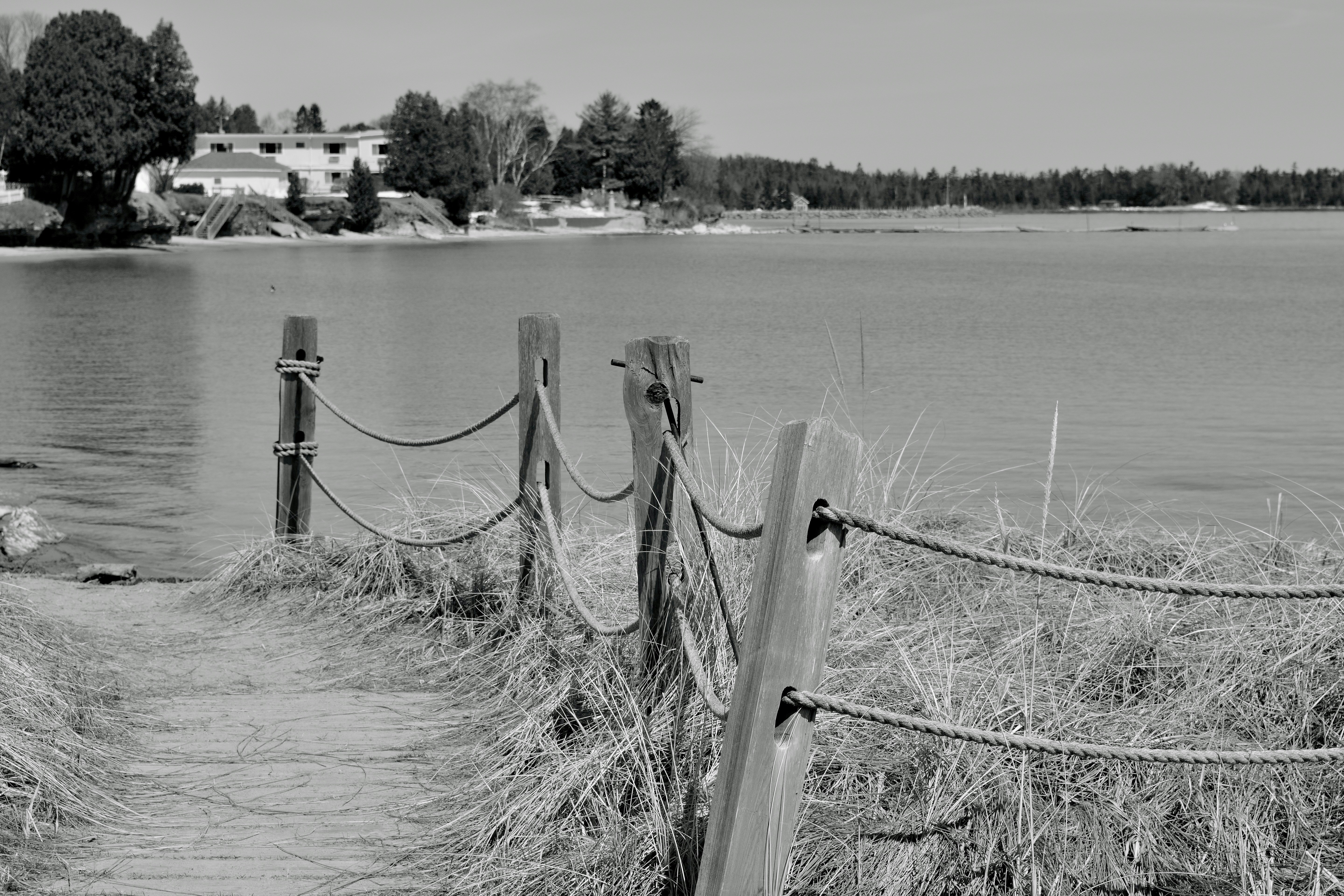 Wooden walkway with rope railing along grassy shore