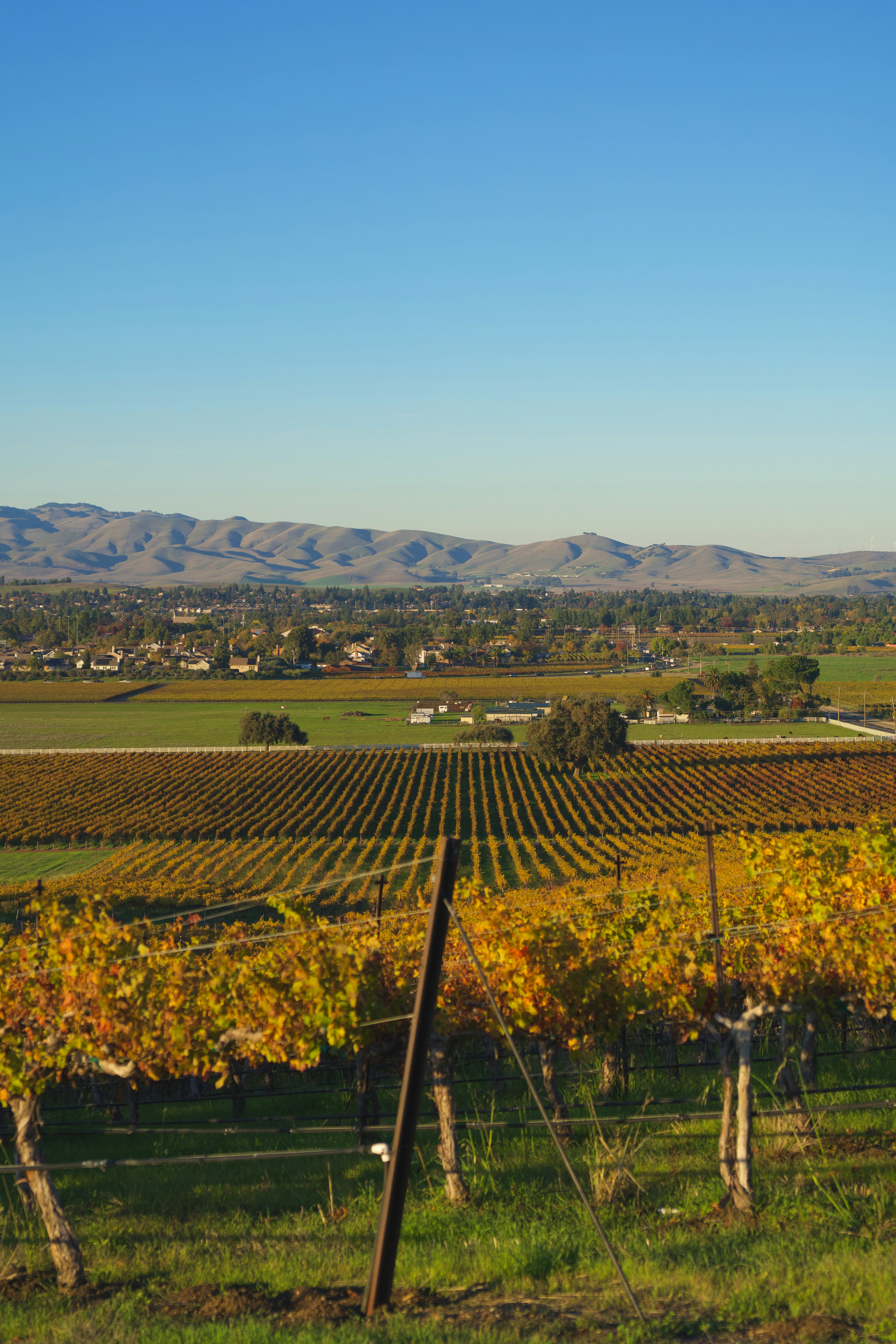 Photo by spencer_demera