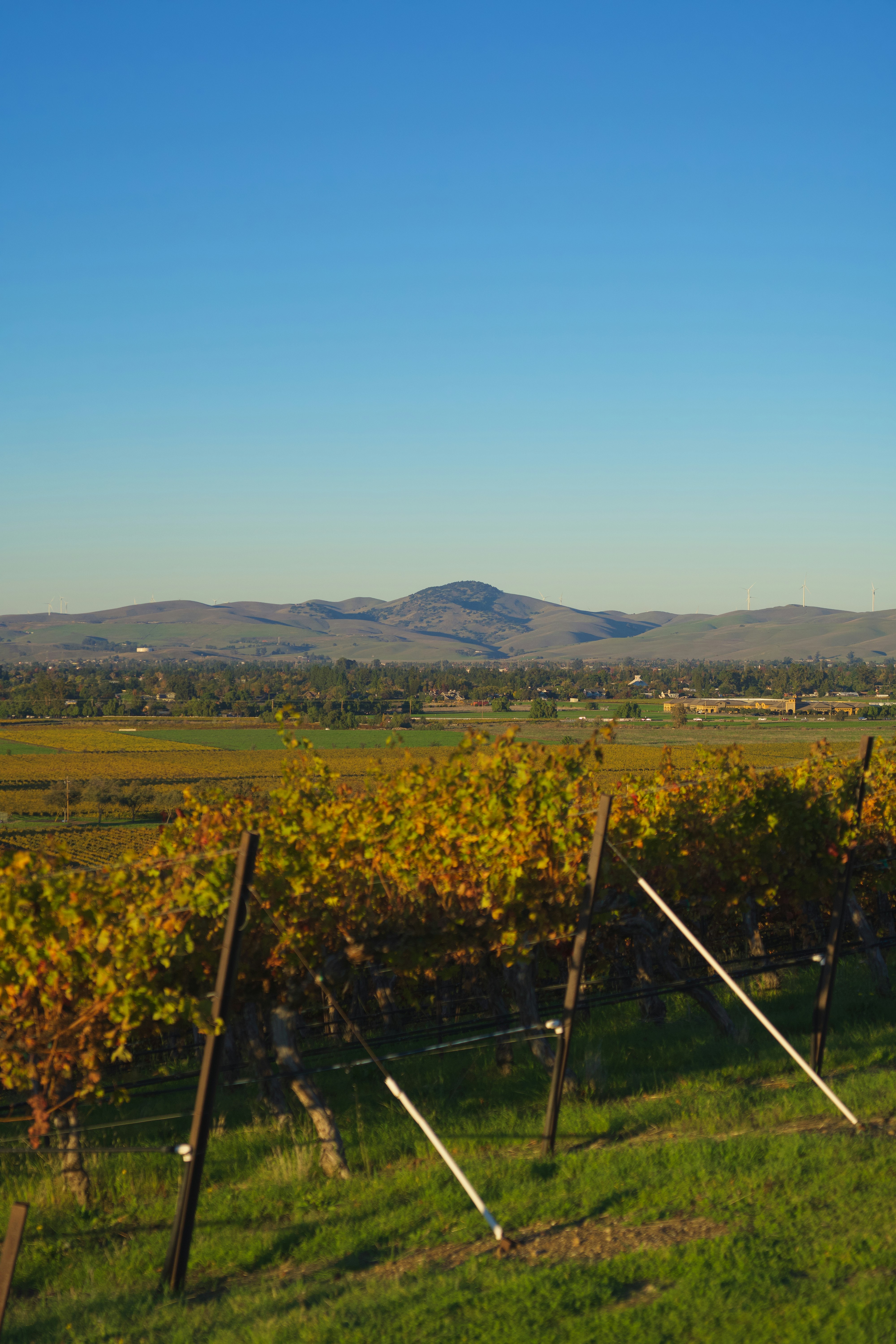 Photo by spencer_demera