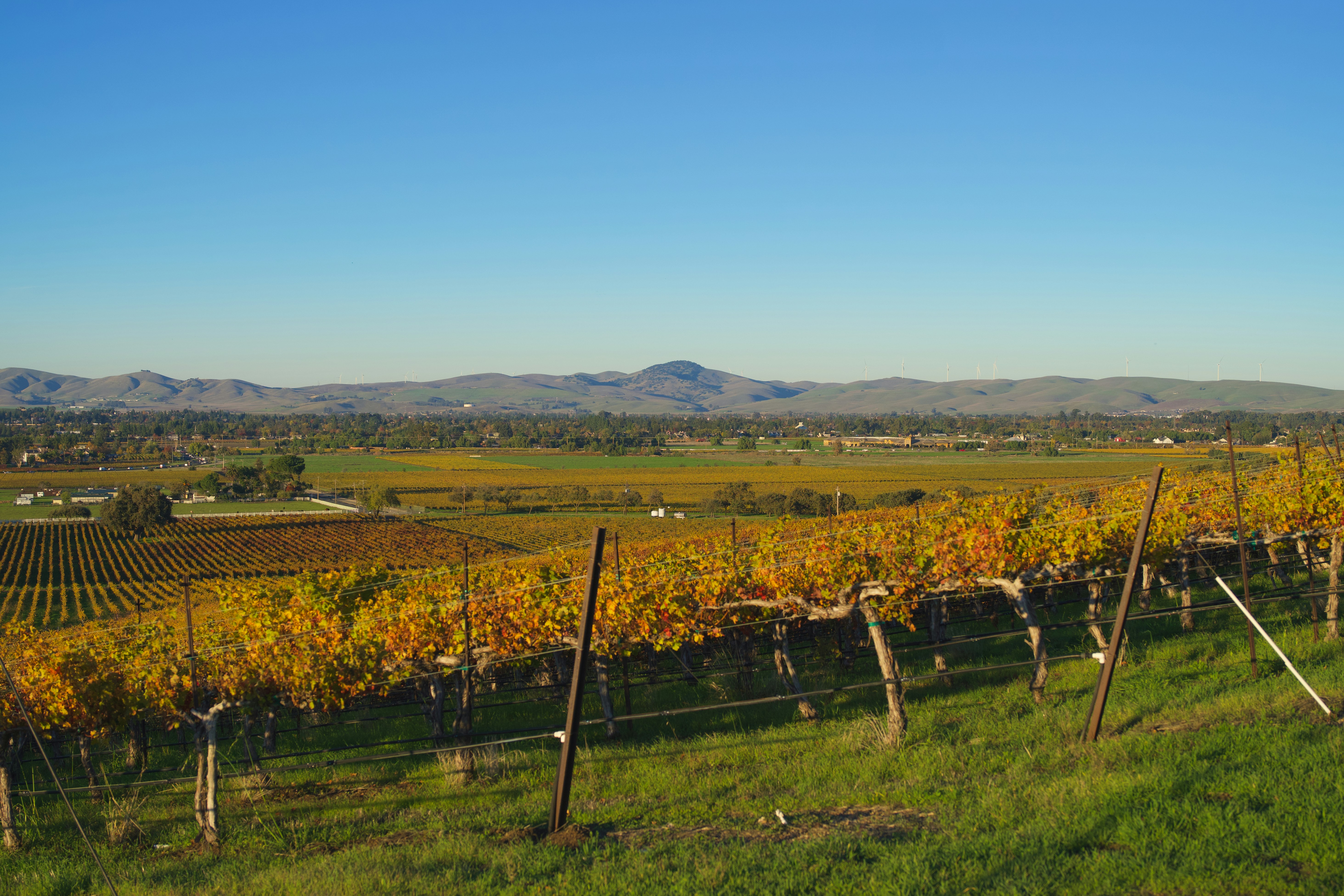 Photo by spencer_demera