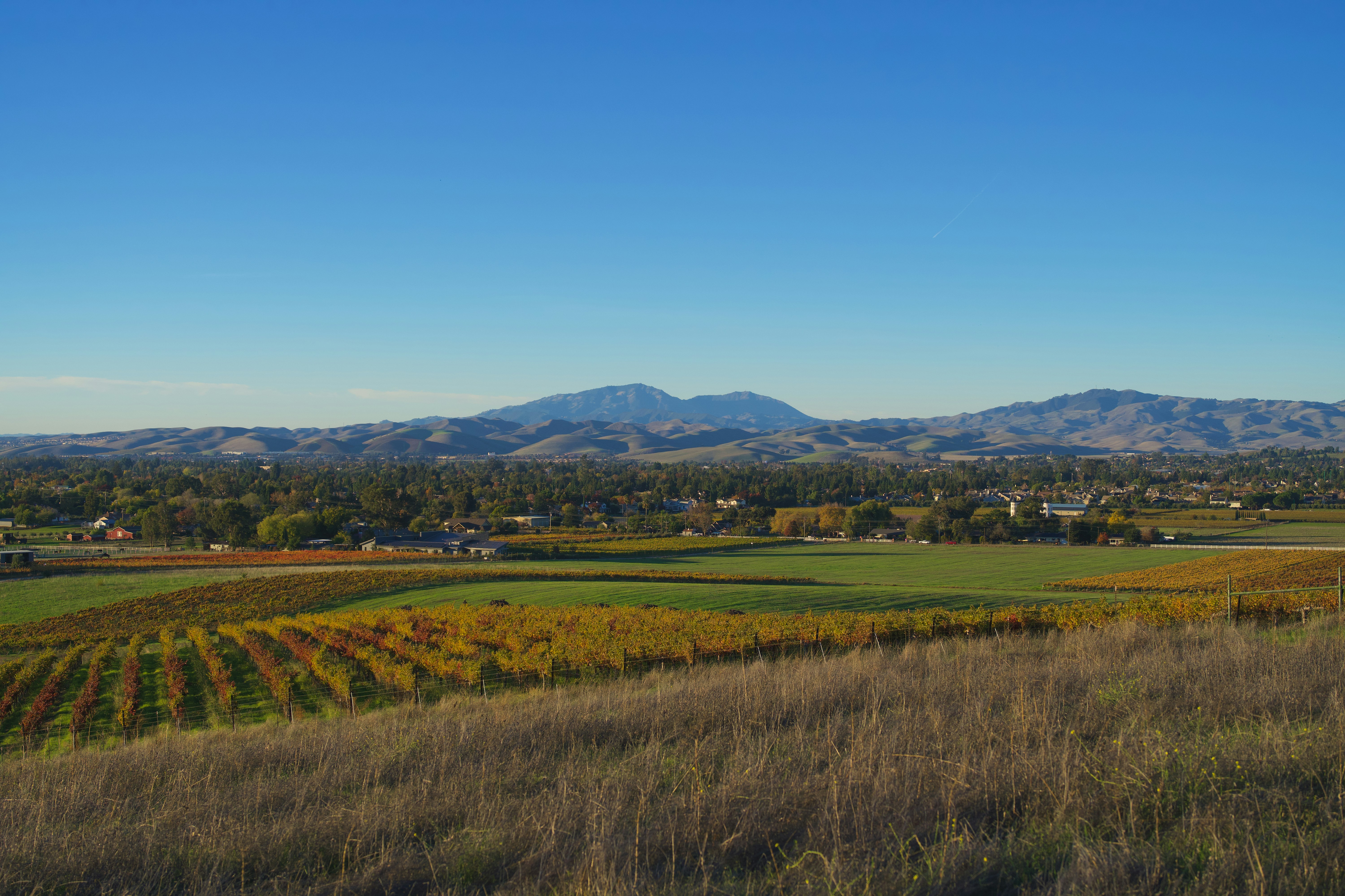 Photo by spencer_demera