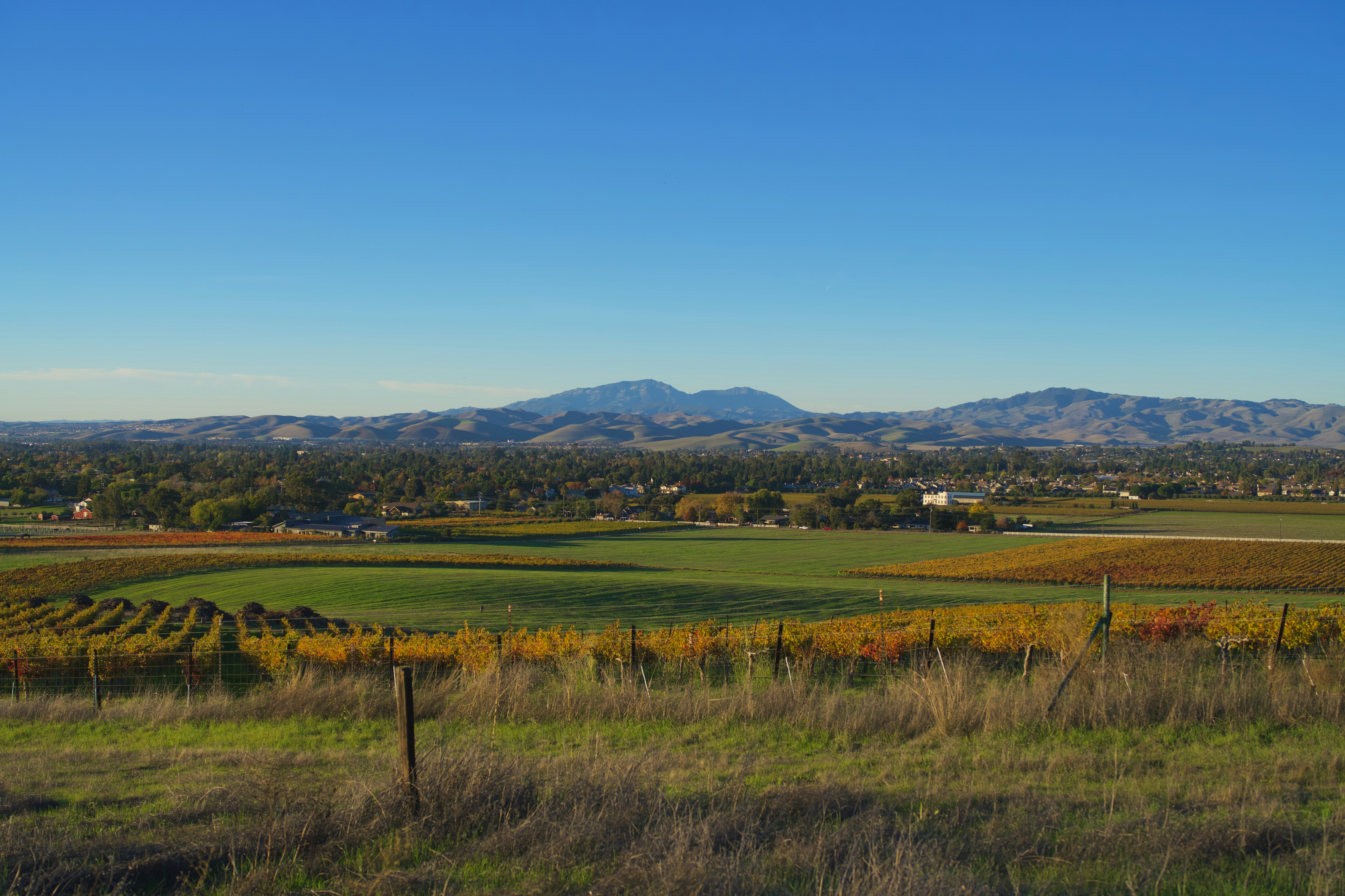 Photo by spencer_demera