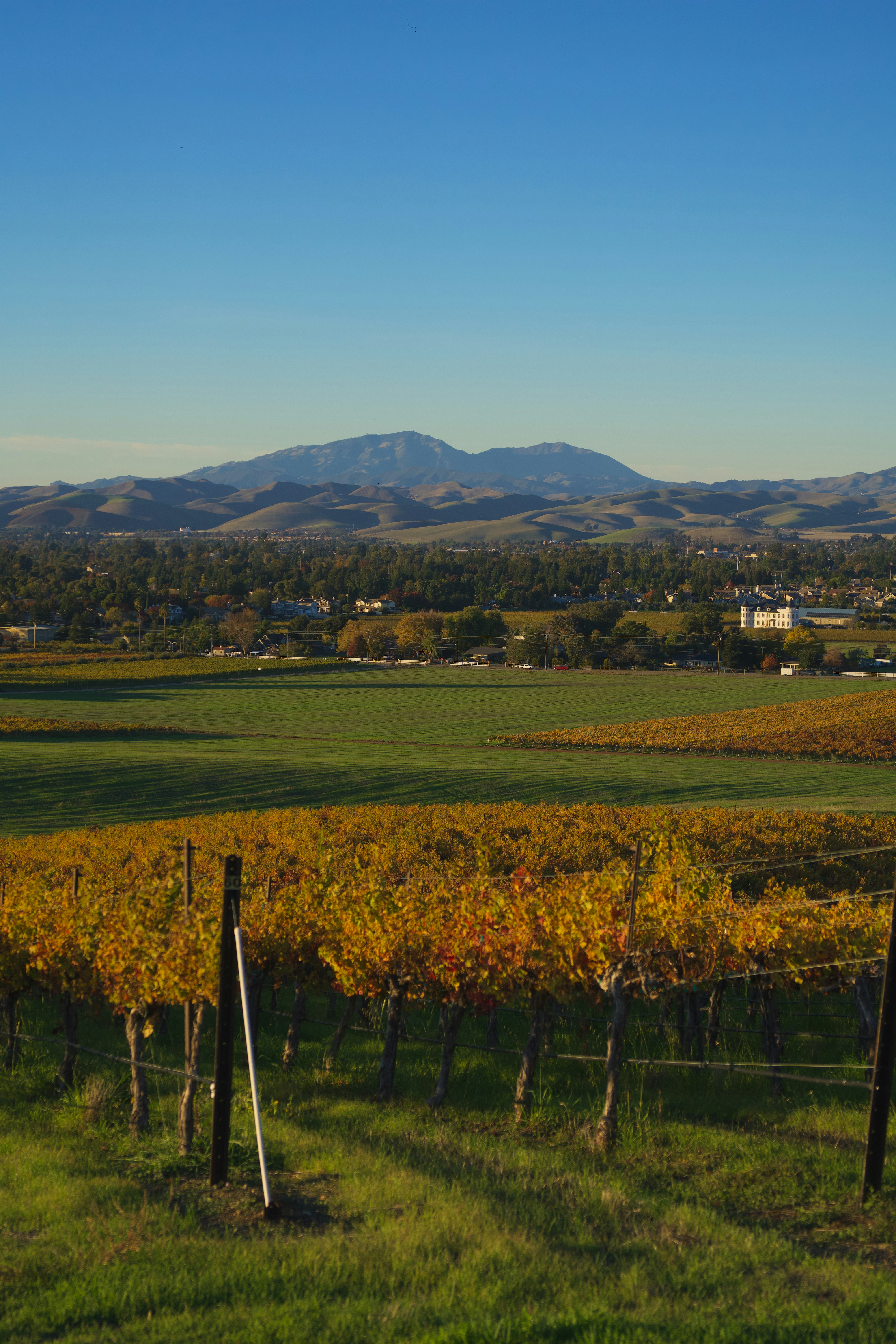 Photo by spencer_demera