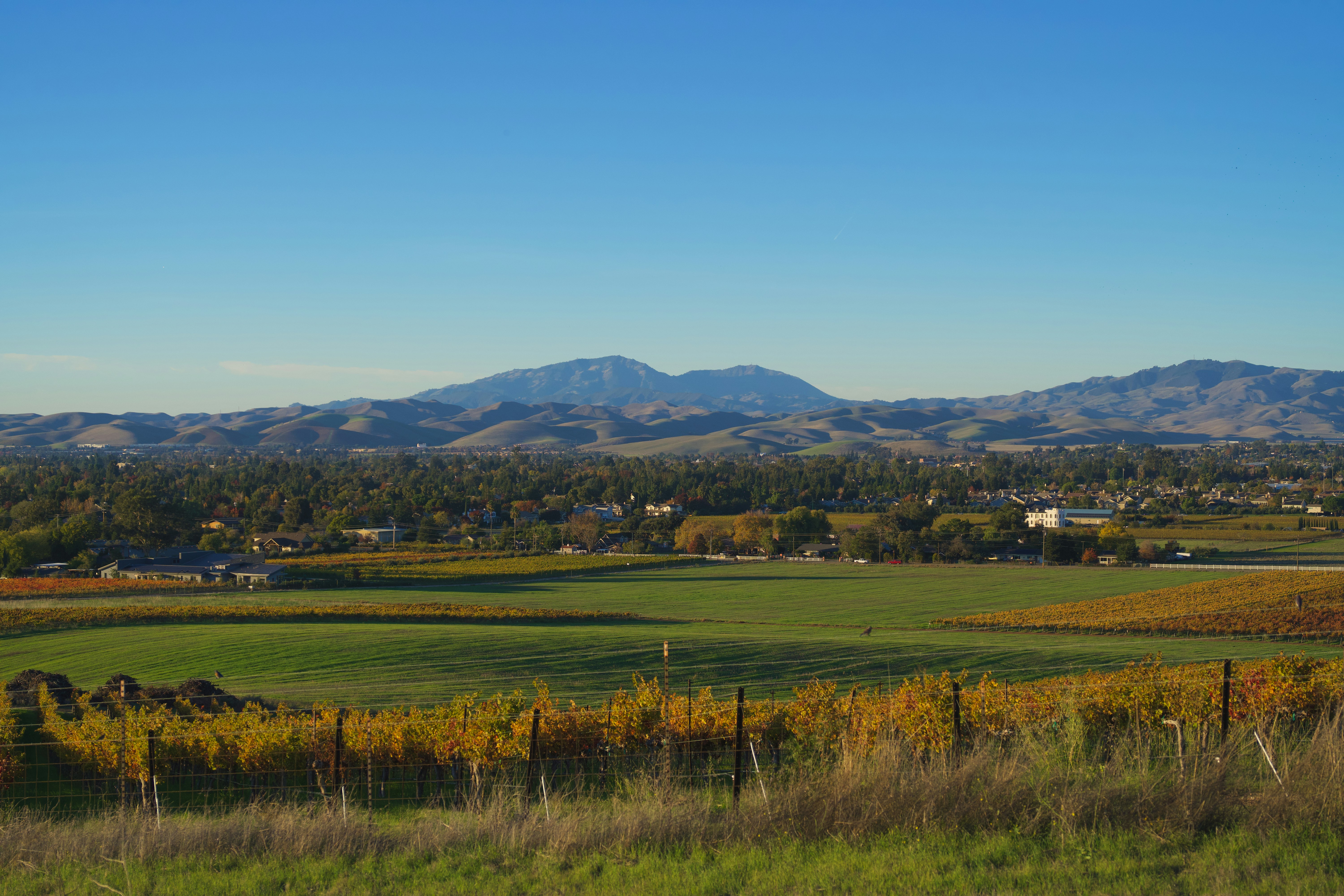 Photo by spencer_demera