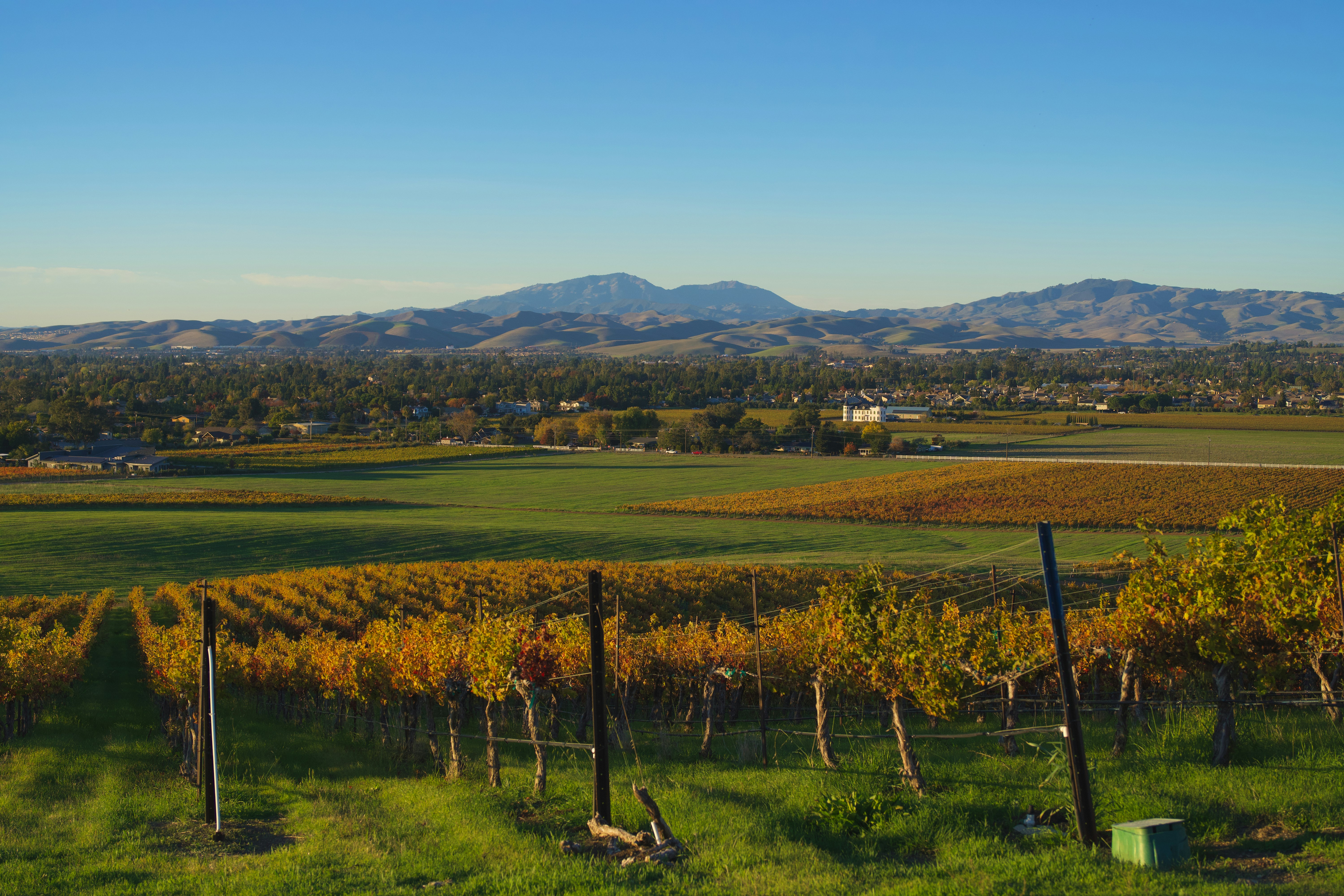 Photo by spencer_demera