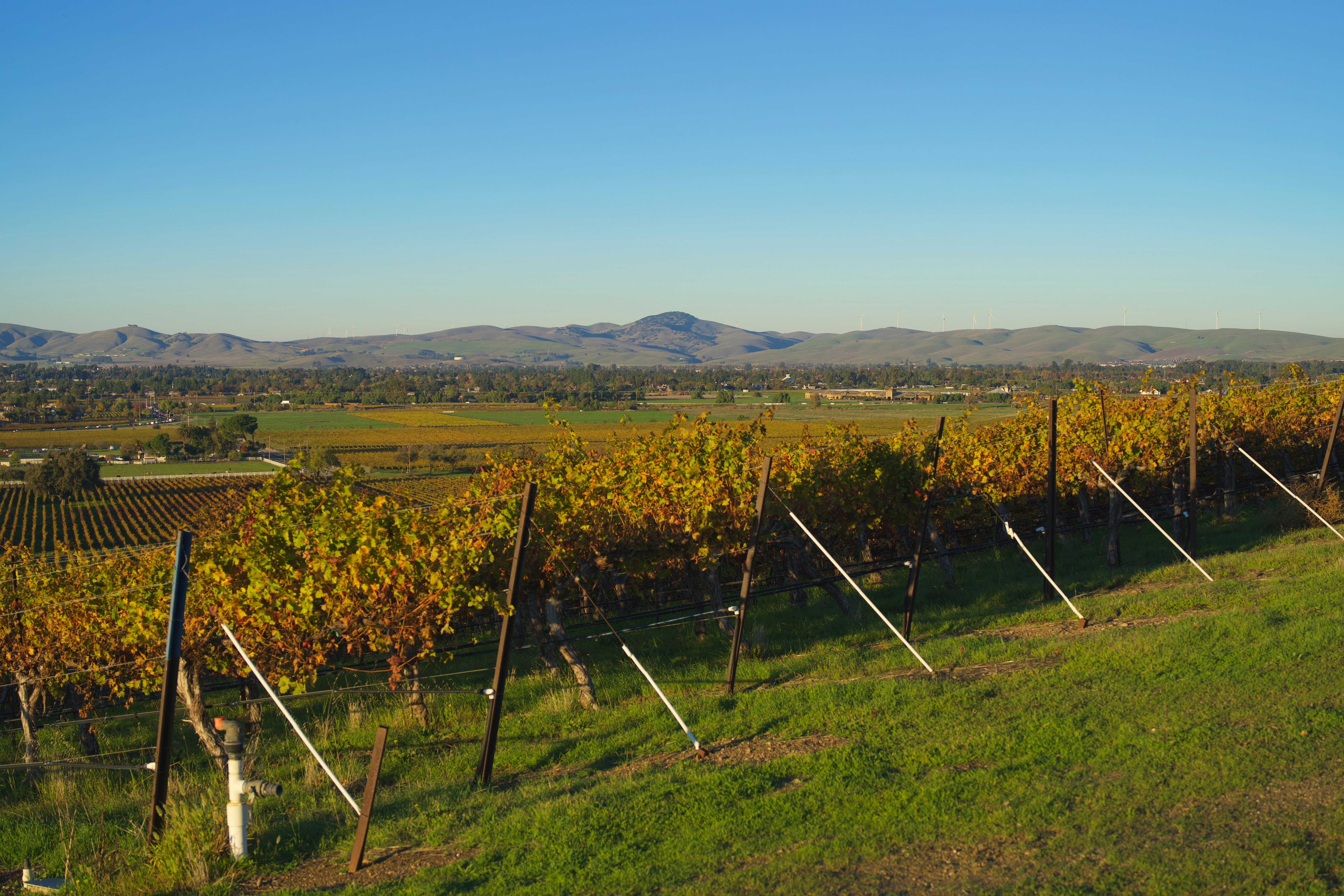 Photo by spencer_demera