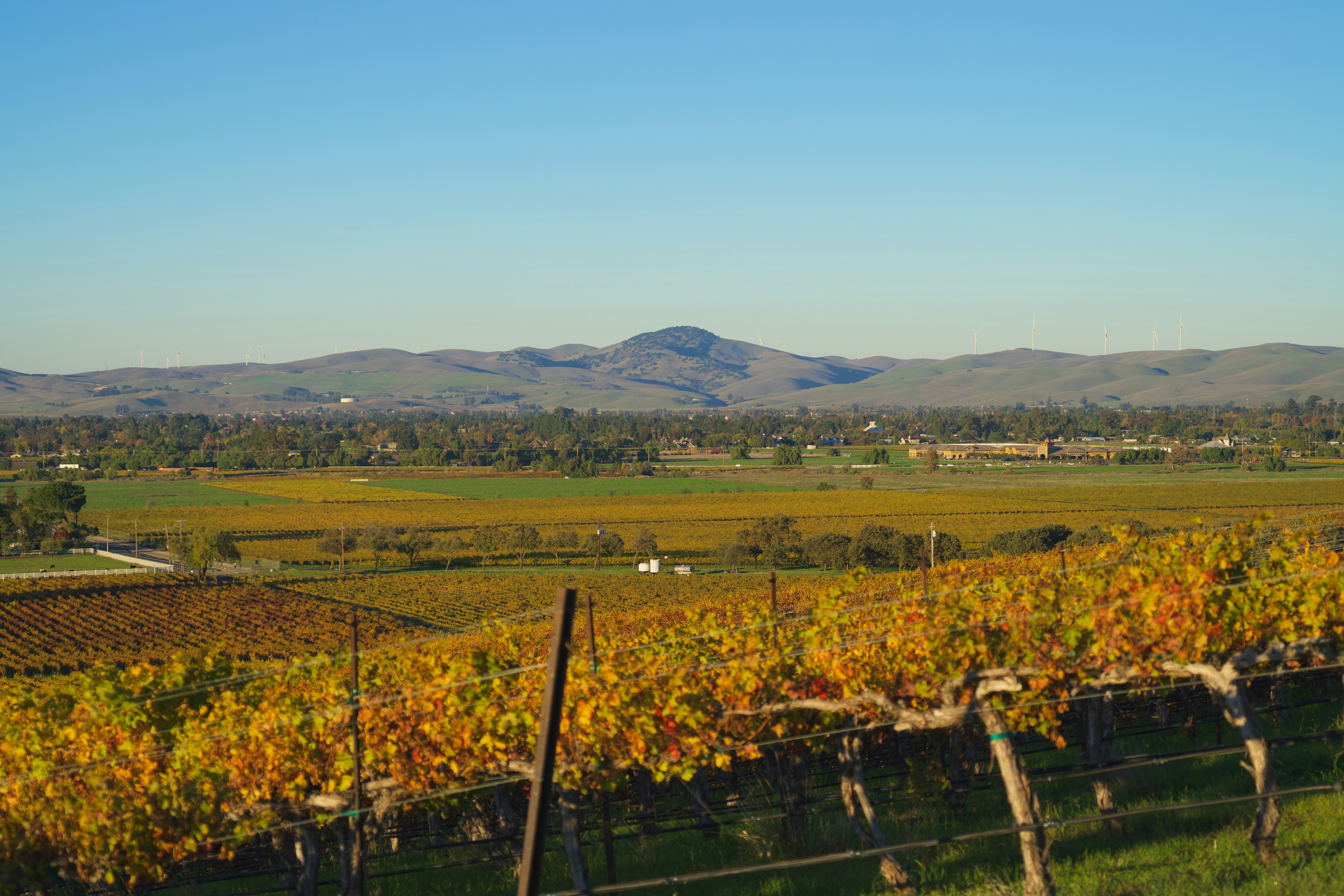 Photo by spencer_demera