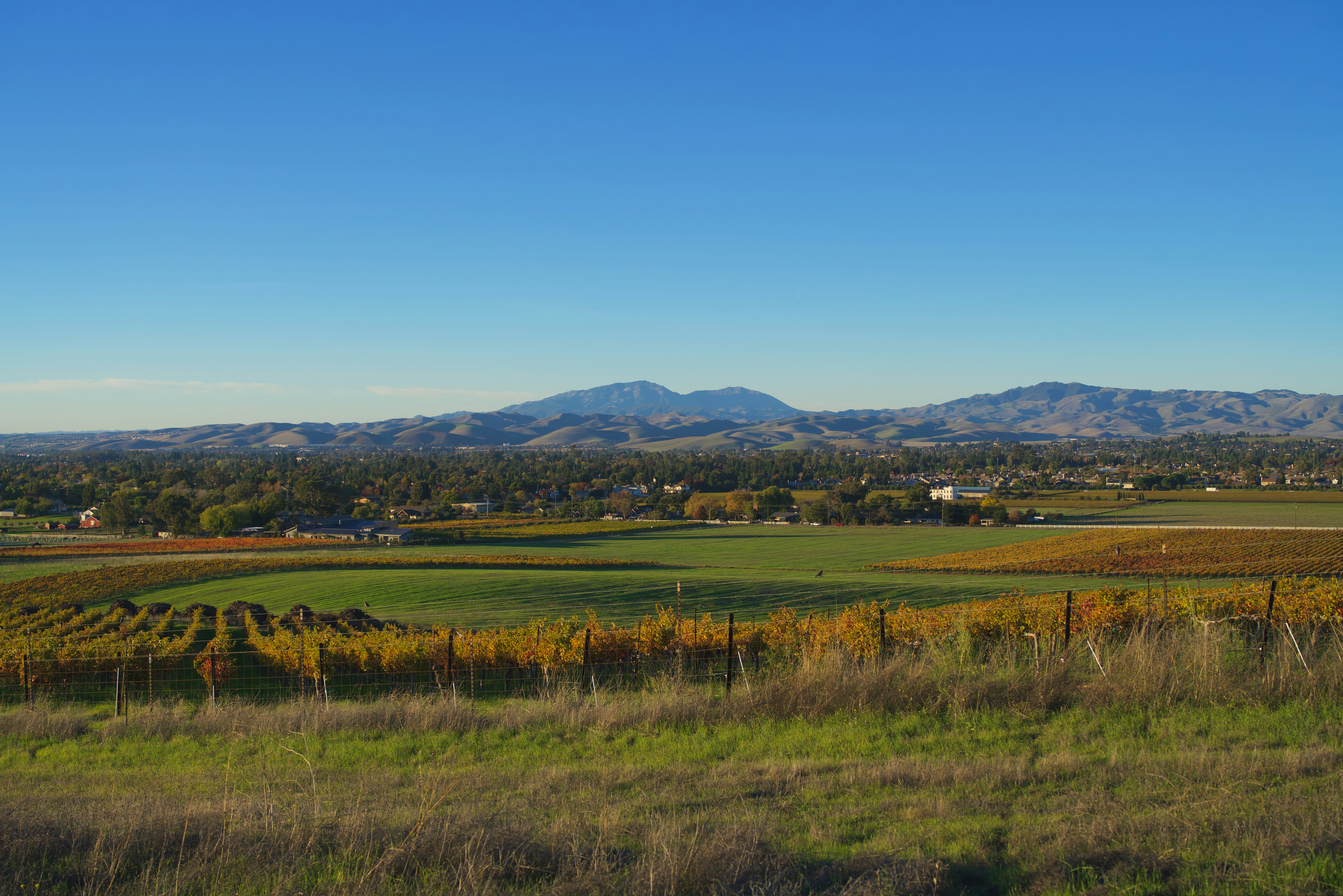 Photo by spencer_demera