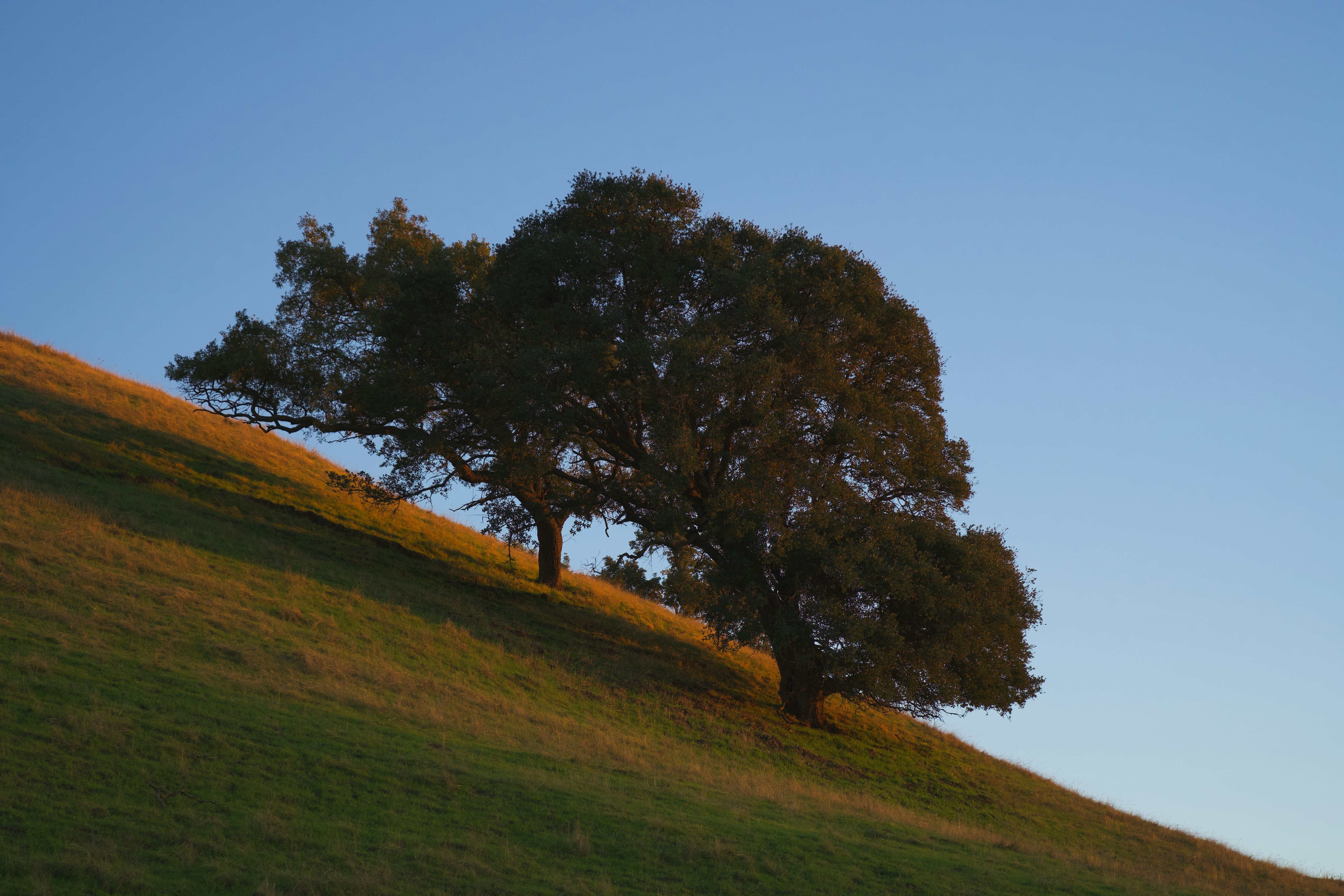 Photo by spencer_demera