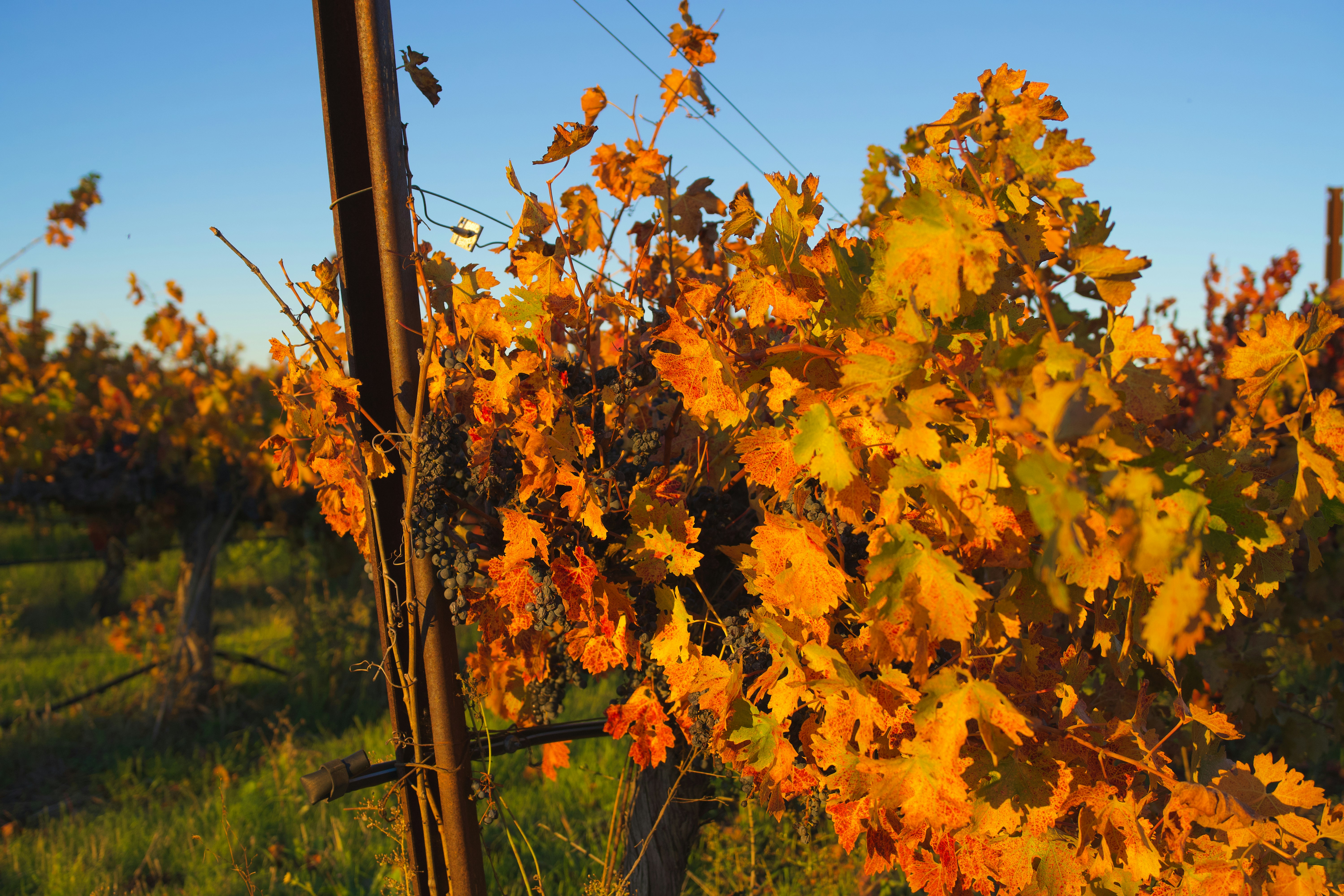 Photo by spencer_demera