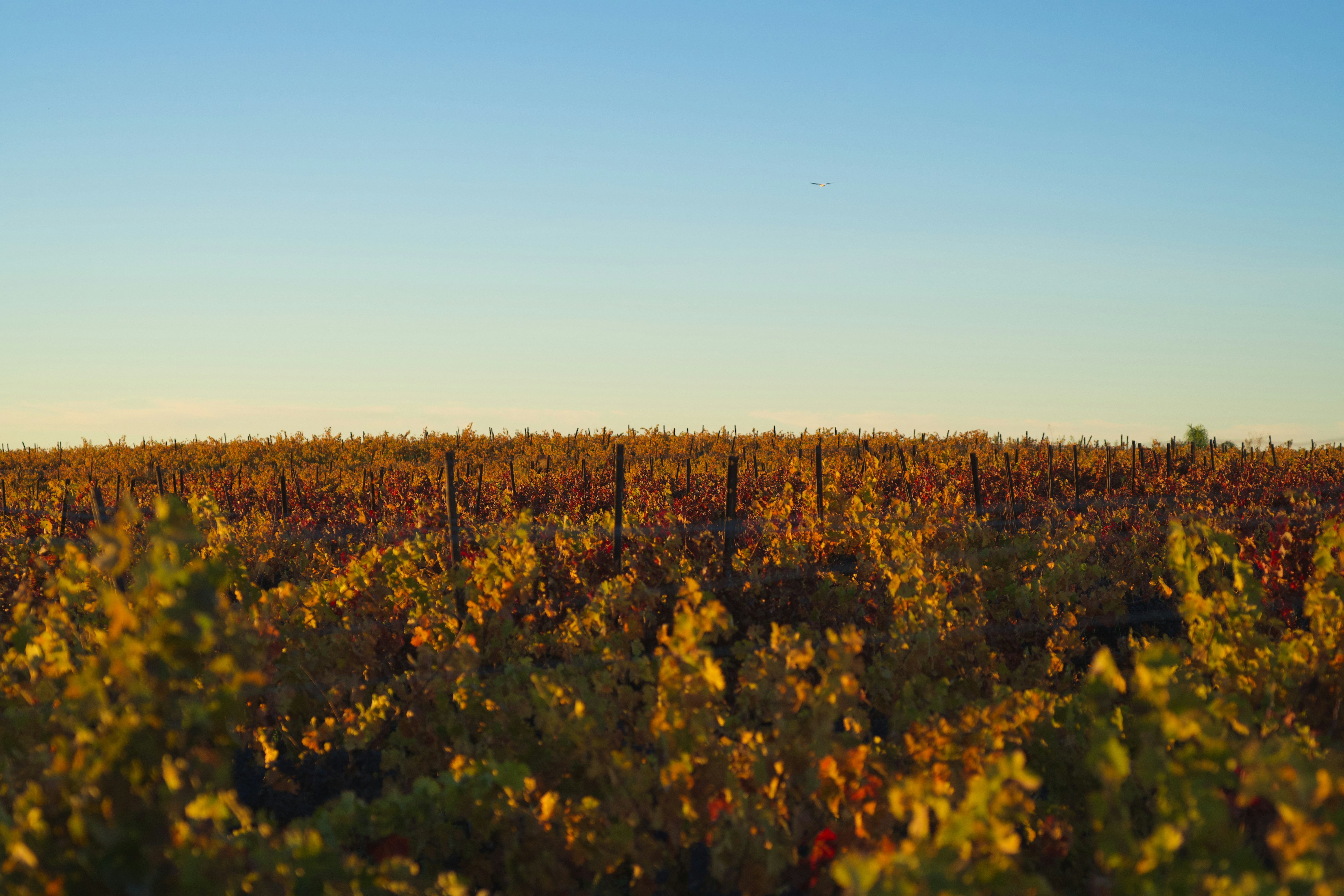 Photo by spencer_demera