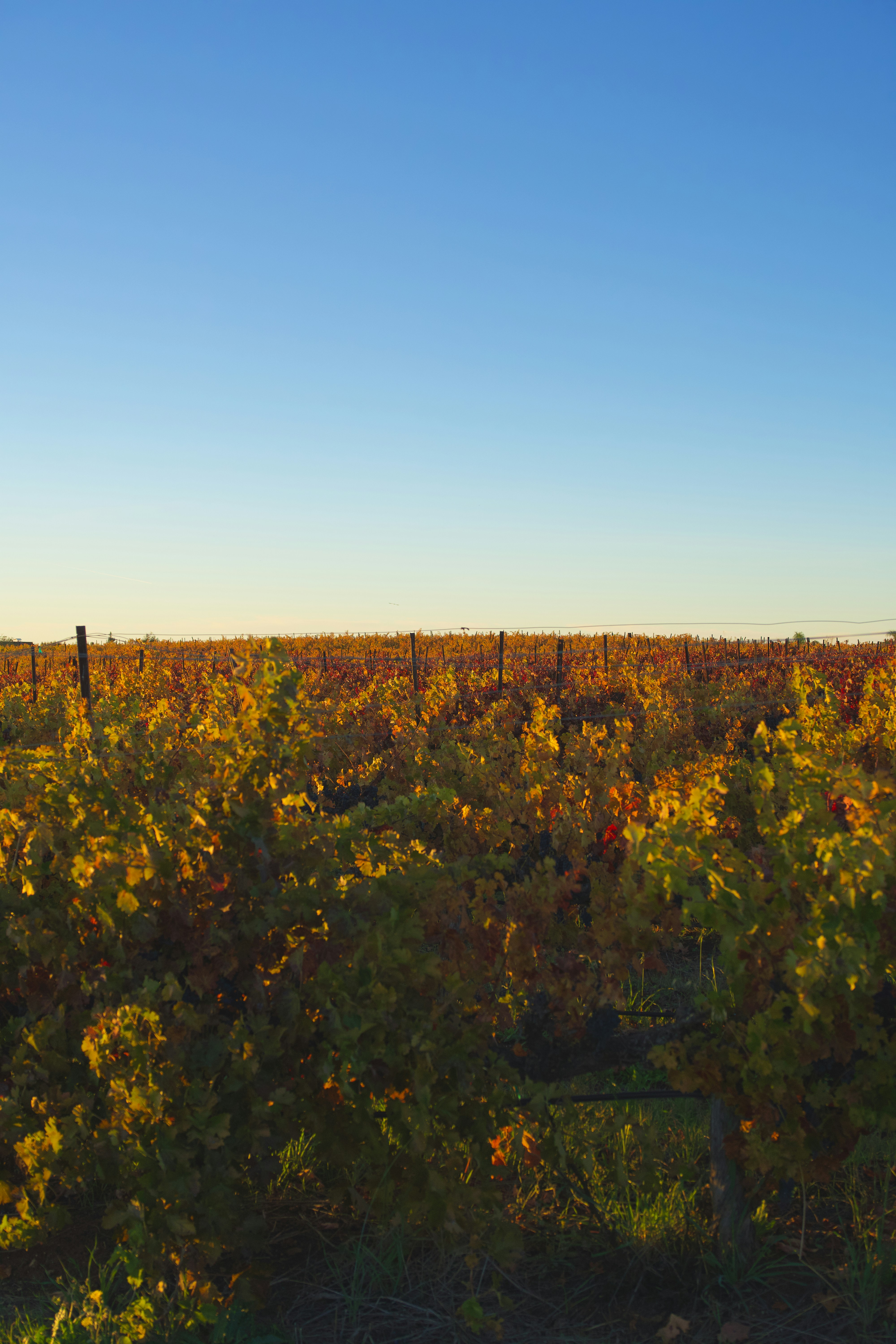 Photo by spencer_demera