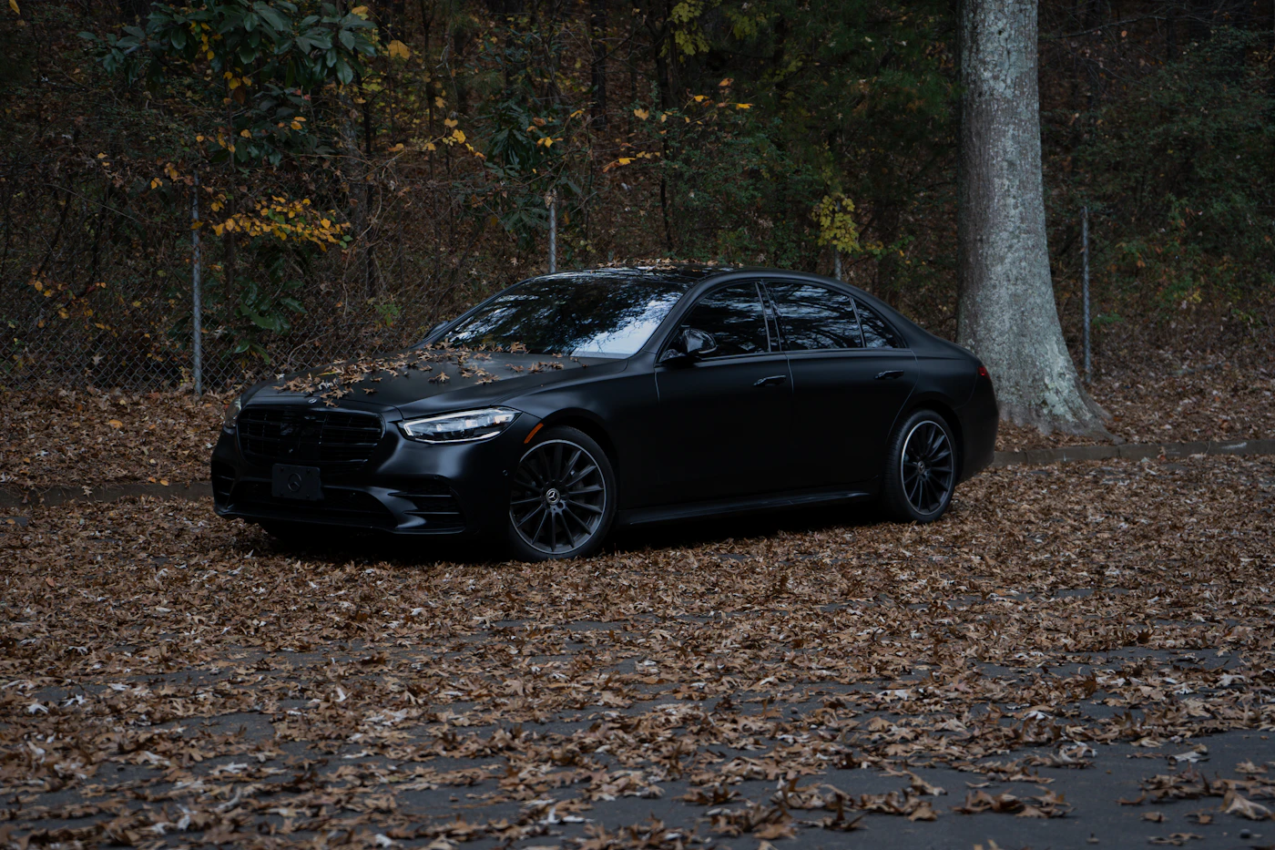 Sedan in autumn light