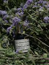 Perfume bottle nestled among purple flowers
