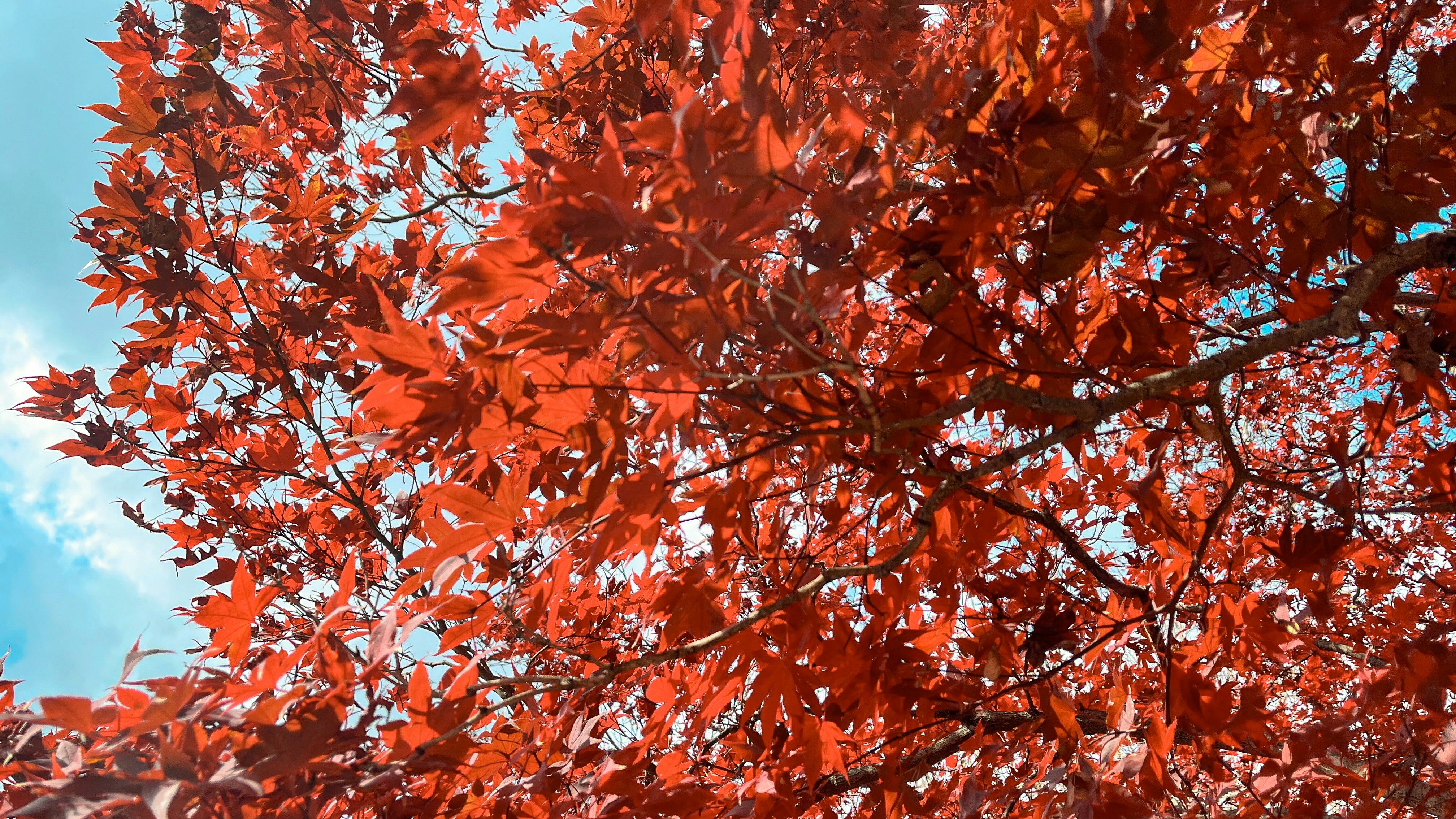 Photo by johnlee71421