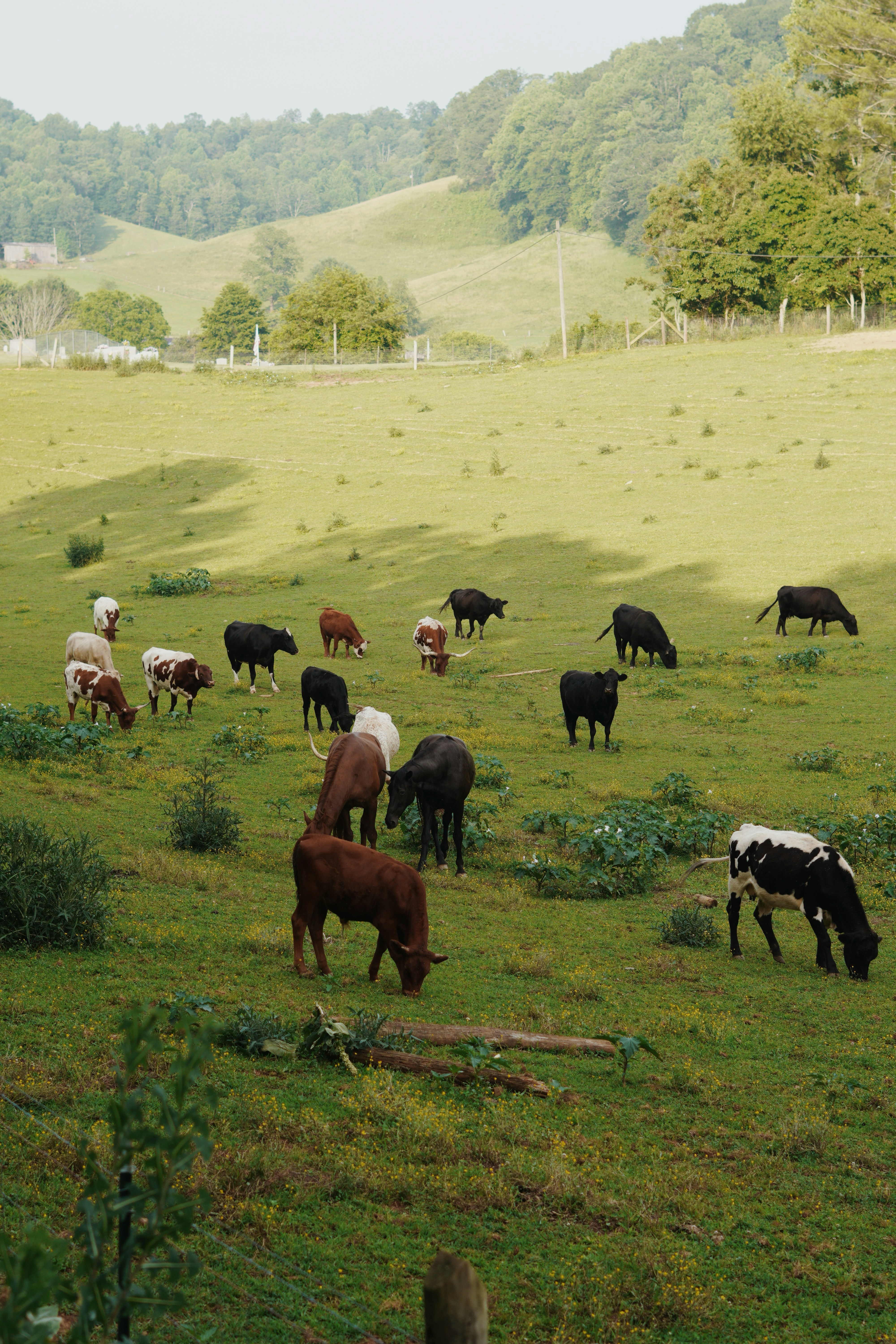 Photo by theolaflamme