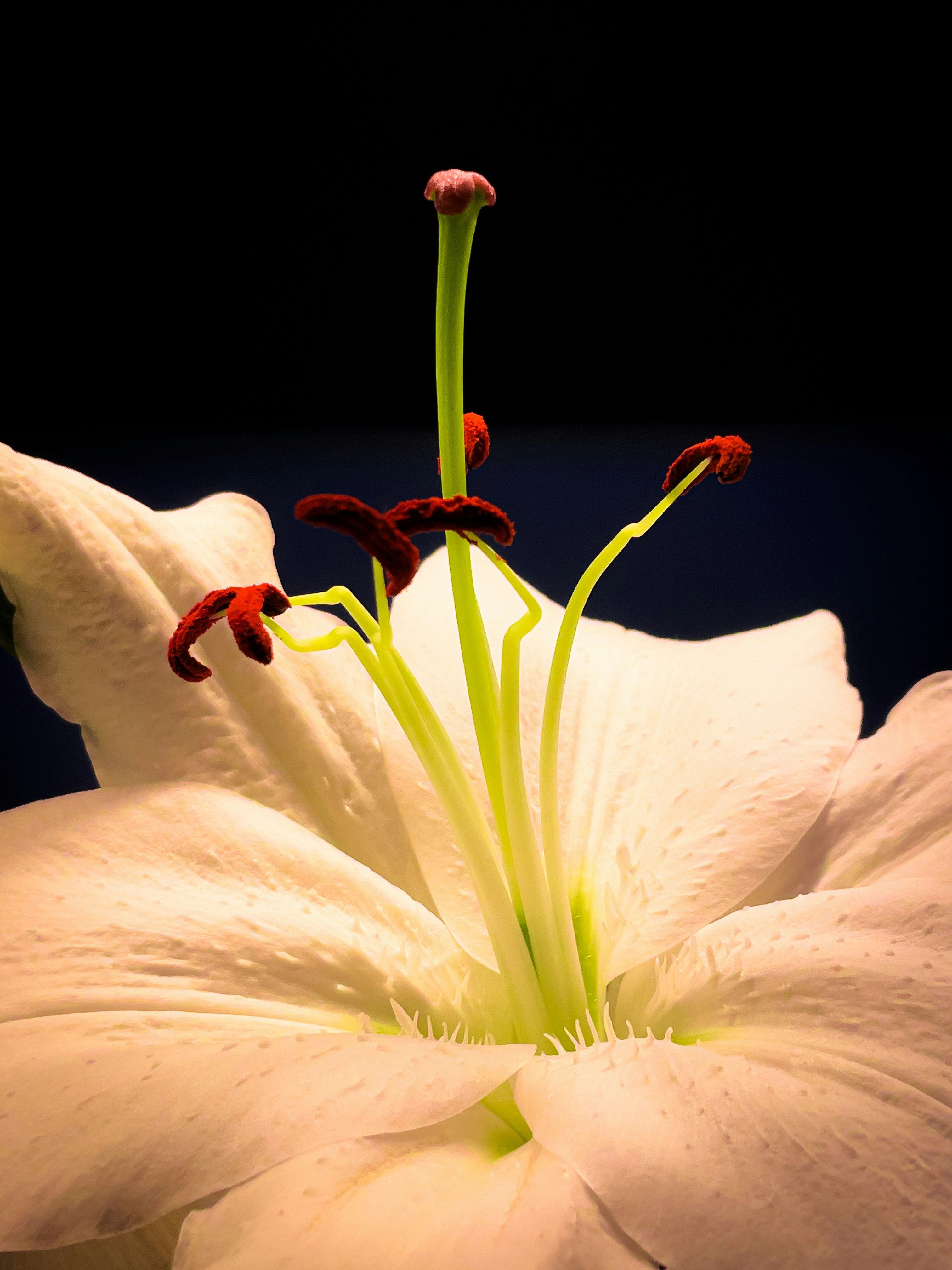 Photo by hdbernd